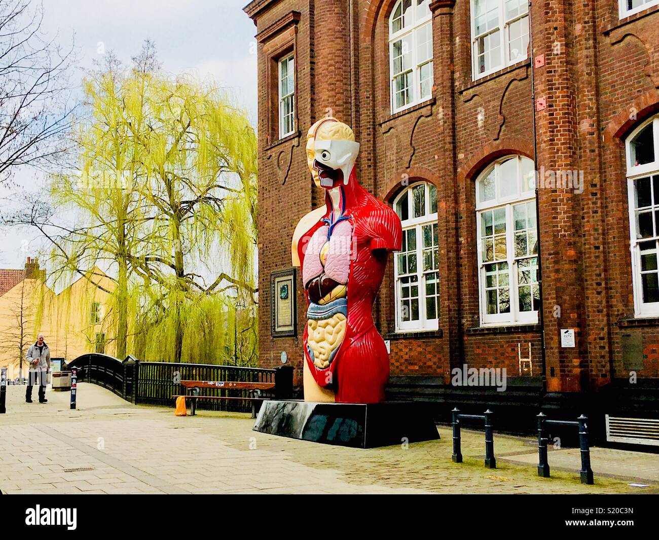 Damian Hirst scultura al di fuori della tecnica di Norwich School di Norwich, Norfolk - Immagine stock catturata con smartphone