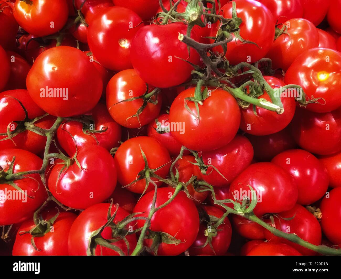 Visualizzazione di un lotto di Red delicious e pomodori appetitosi. Foto Stock