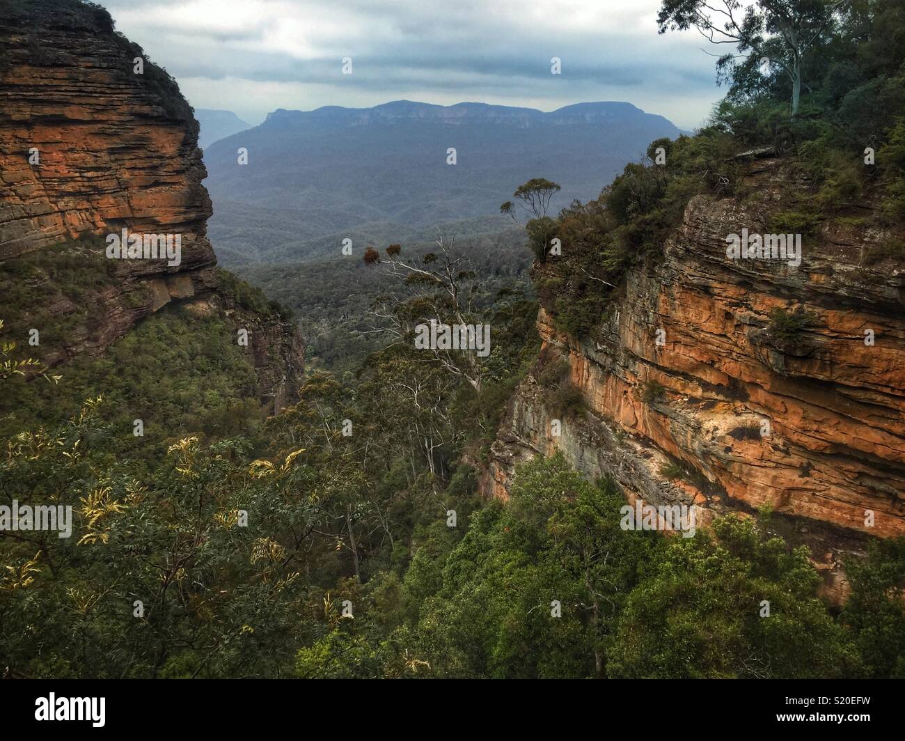 Il Jamison Valley e solitaria di montaggio dal velo nuziale Lookout, il Parco Nazionale Blue Mountains, NSW, Australia - Immagine stock catturata con smartphone