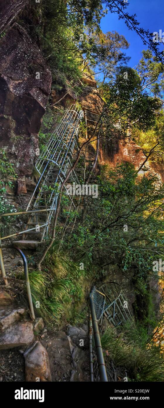 Allentamento delle scale, una serie di nove ripide scalette sulla Wentworth  Falls Loop via, il Parco Nazionale Blue Mountains, NSW, Australia Foto  stock - Alamy