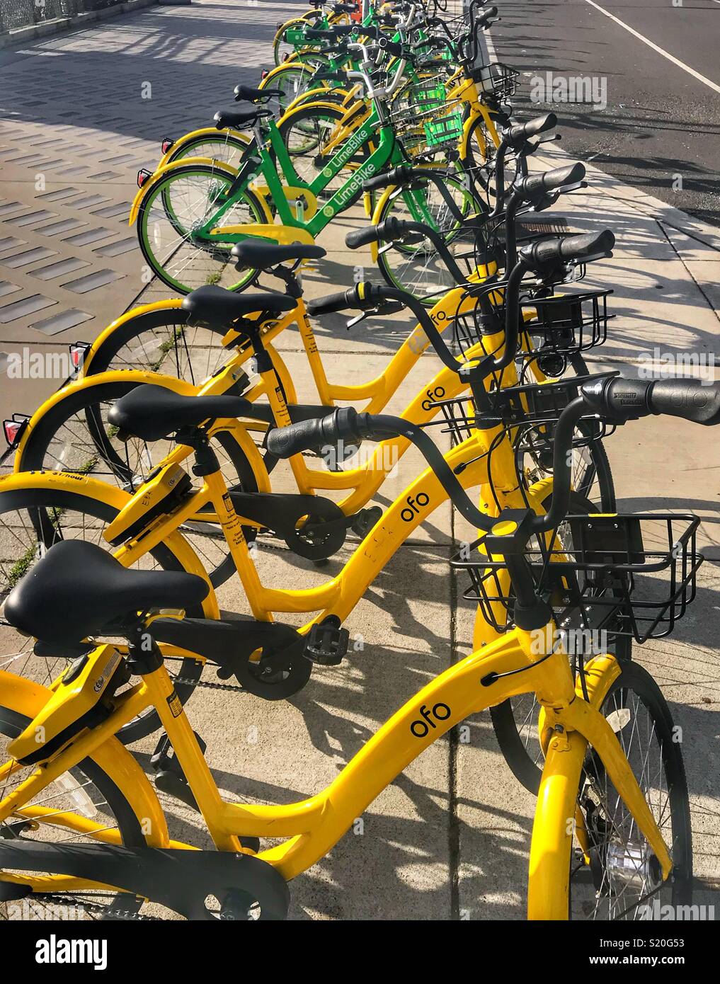 Quote di bici, tutti schierati al fronte mare di Seattle Washington Foto Stock