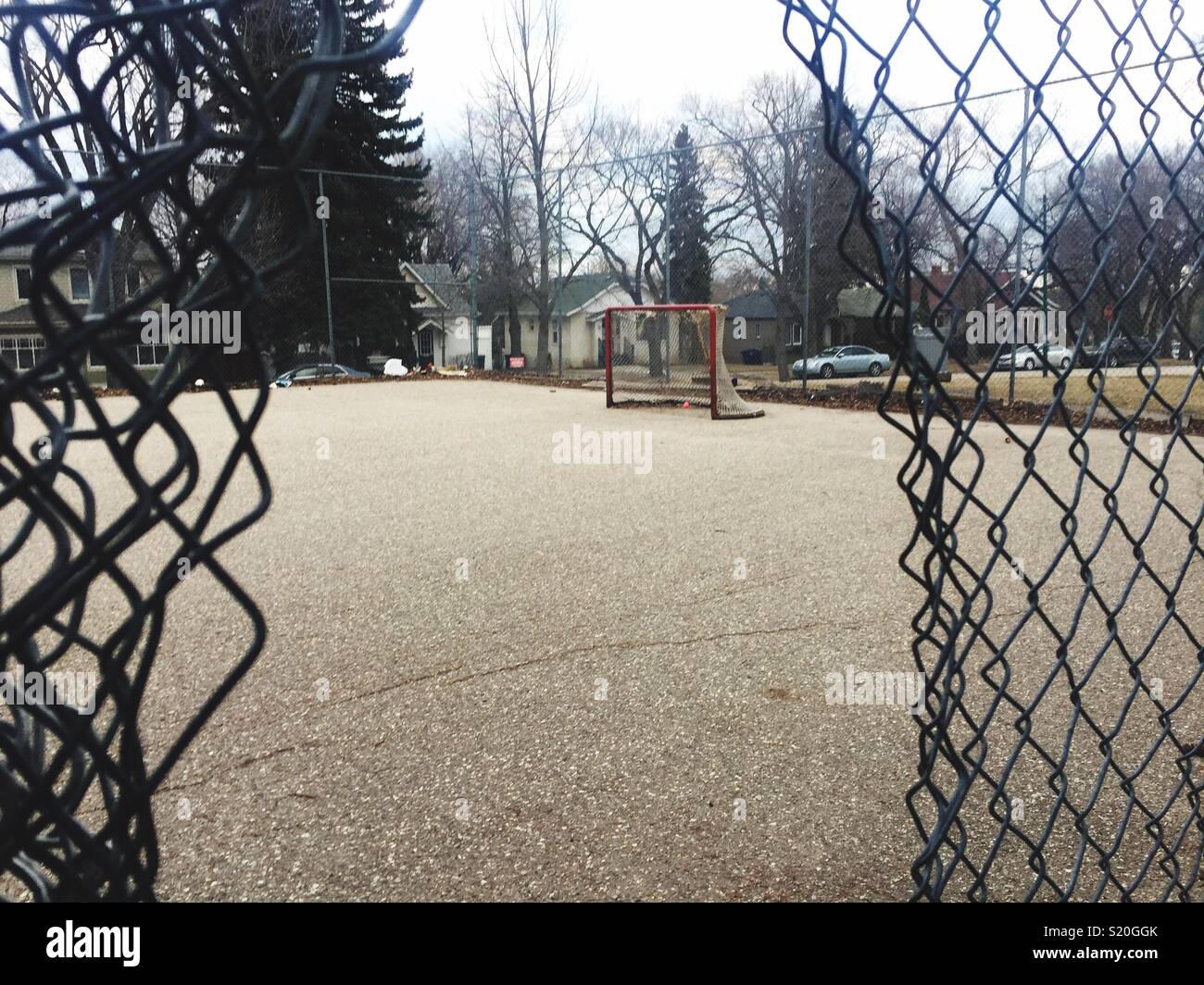 Un solitario palla Hockey Net Foto Stock