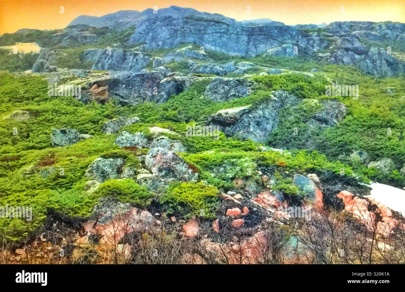 Roccia Naturale giardino nella parte orientale del Québec Foto Stock