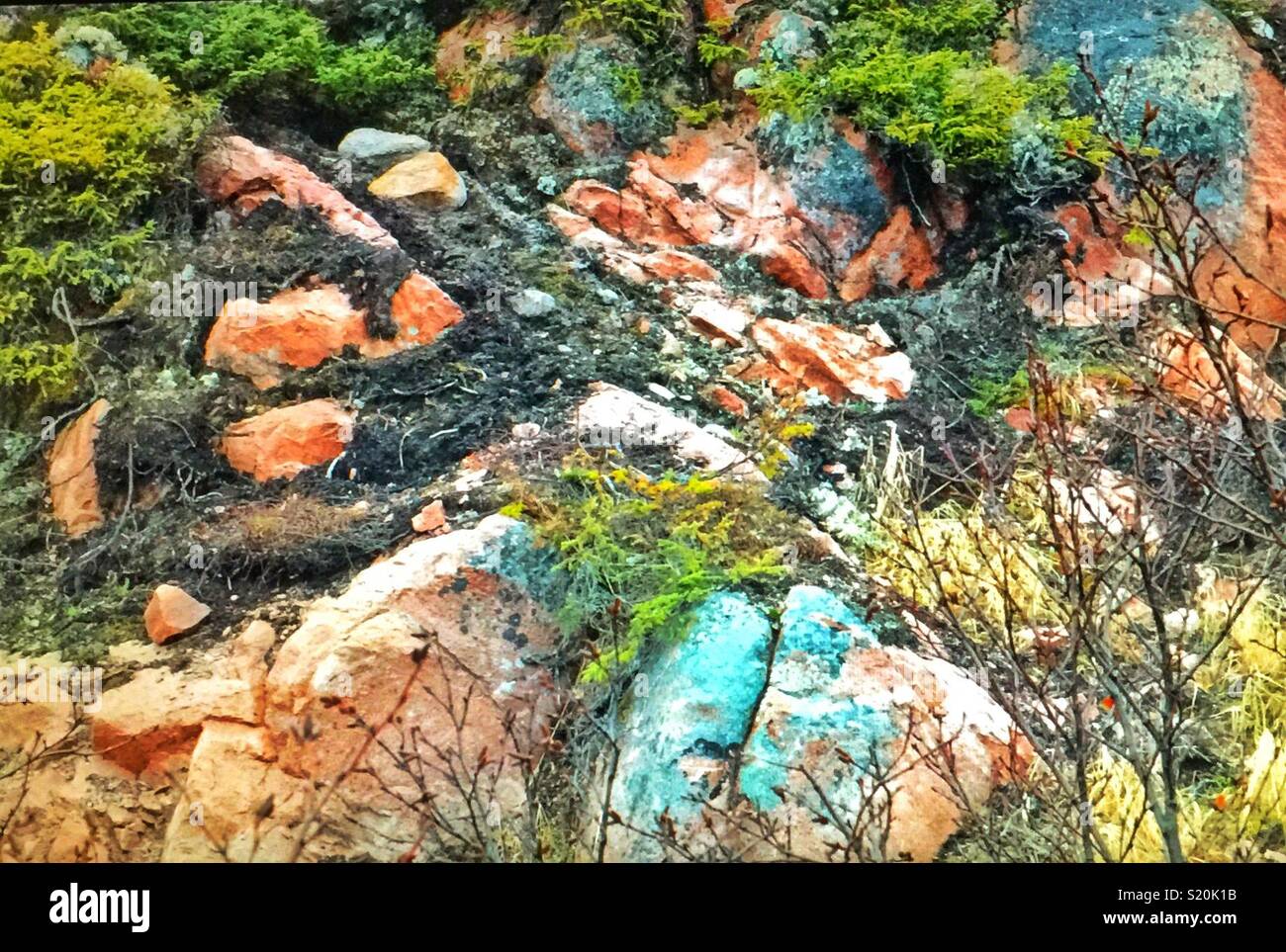 Roccia Naturale giardino nella parte orientale del Québec Foto Stock