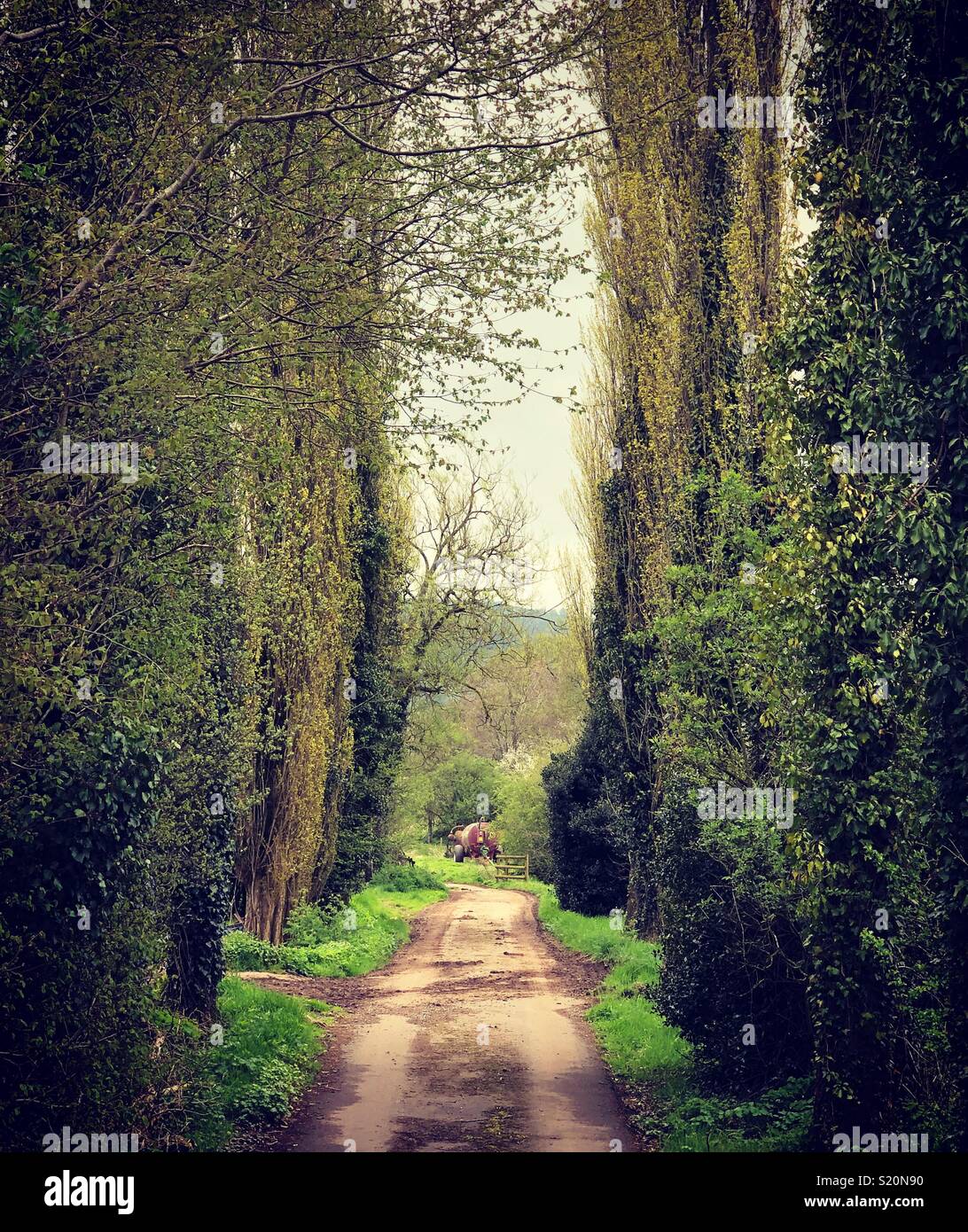 Il paese a piedi lungo un percorso Foto Stock