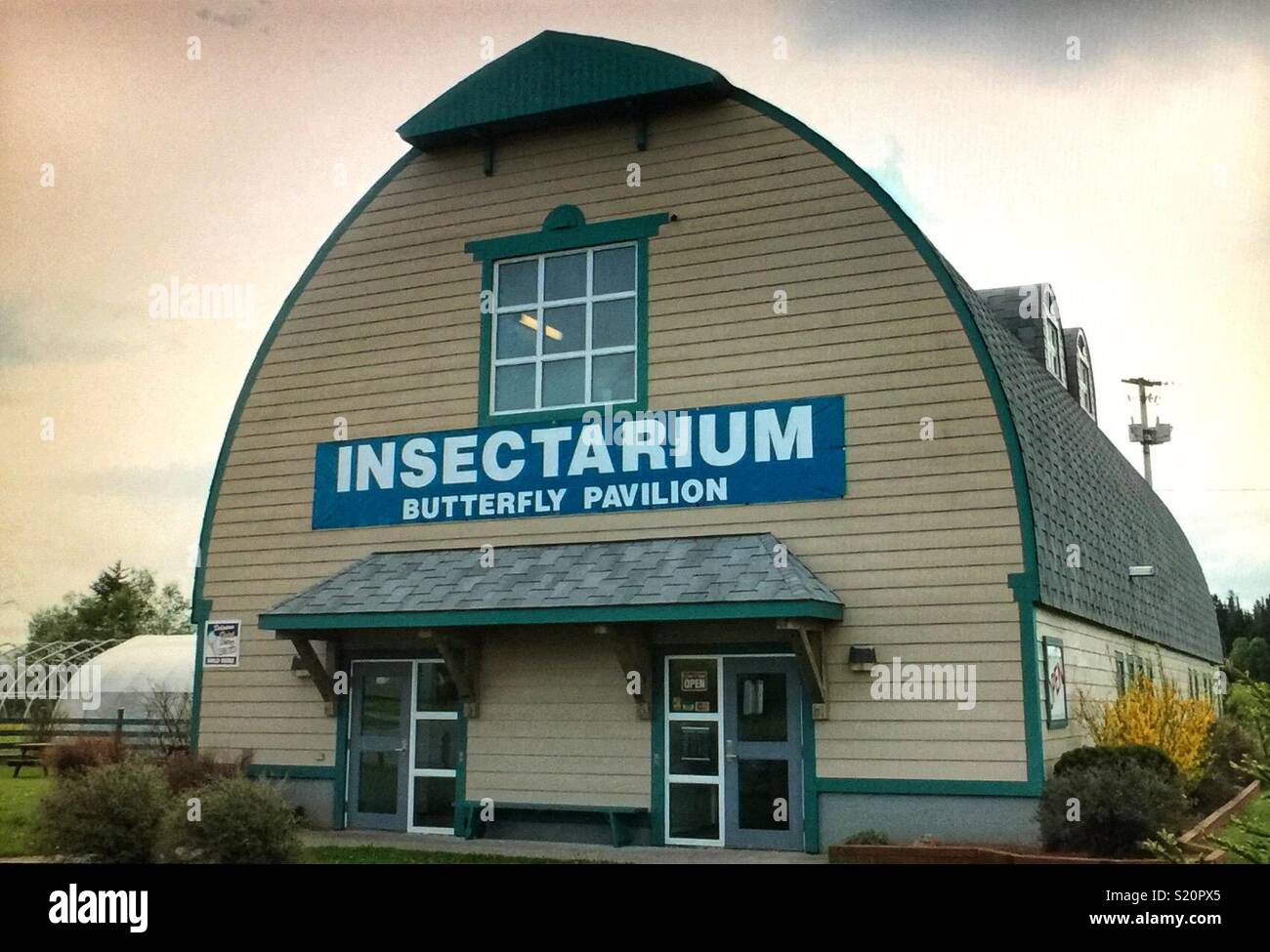 Insectarium, Terranova, Canada Foto Stock