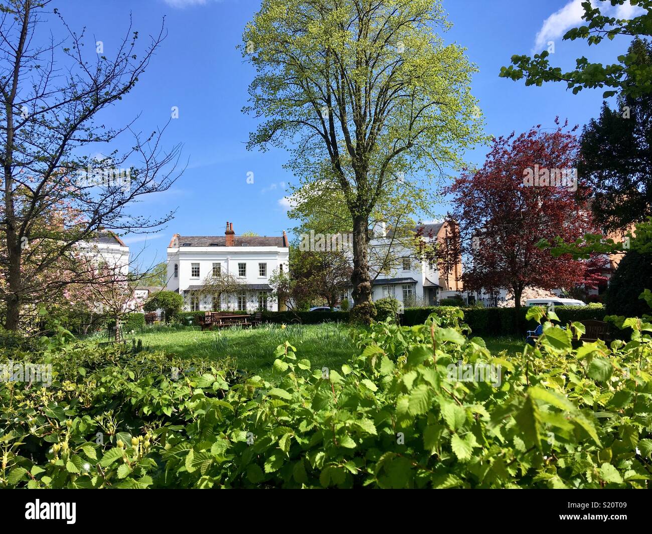 Lansdowne Crescent, una piazza con giardino in primavera, circondato da Regency ville in stucco sotto un cielo blu. - Immagine stock catturata con smartphone