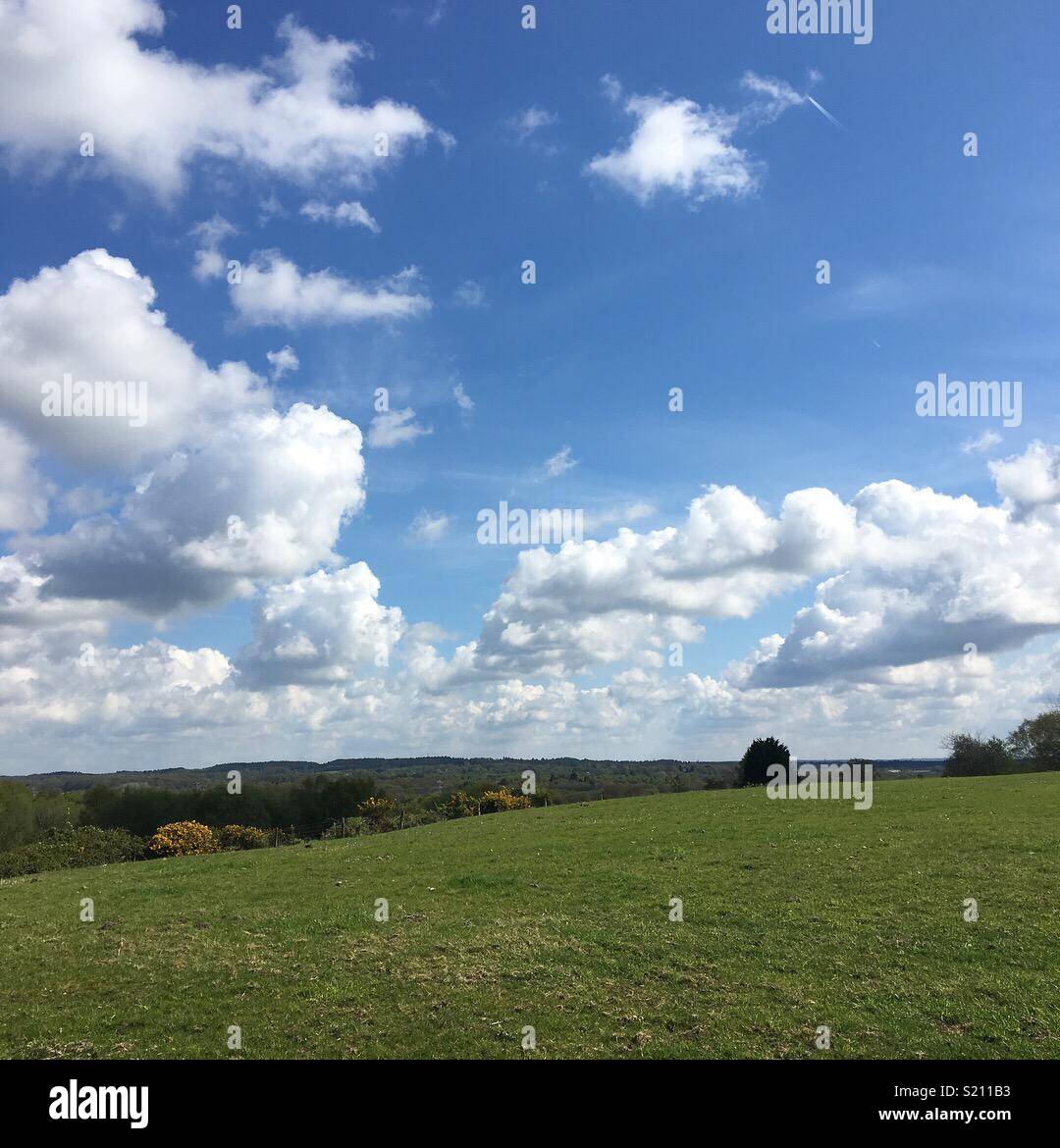 Campagna inglese in primavera Foto Stock