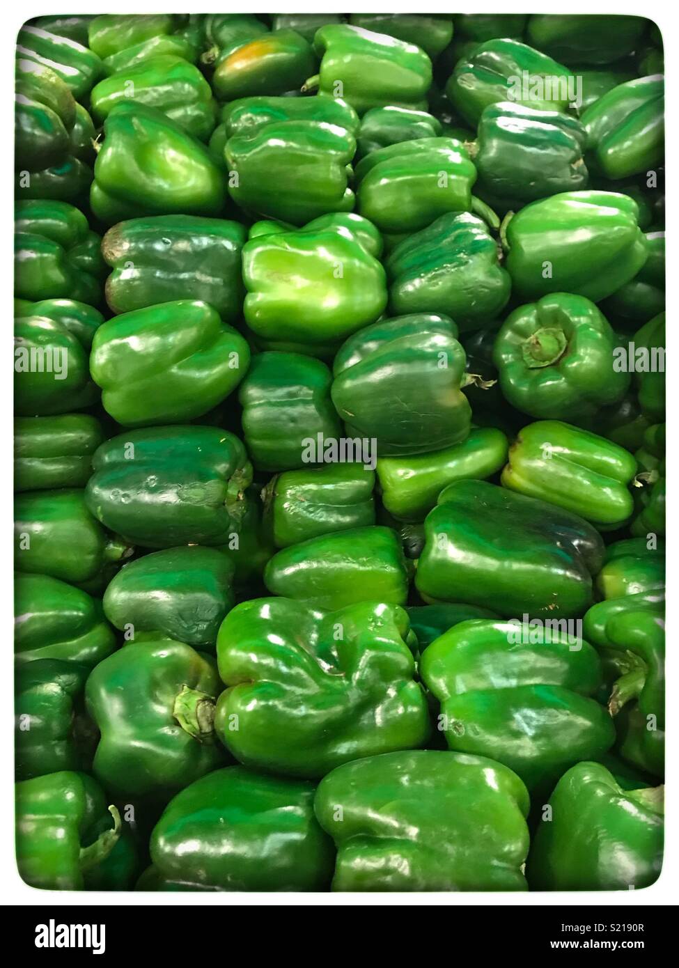 Peperoni Verdi in vendita nel negozio. Foto Stock