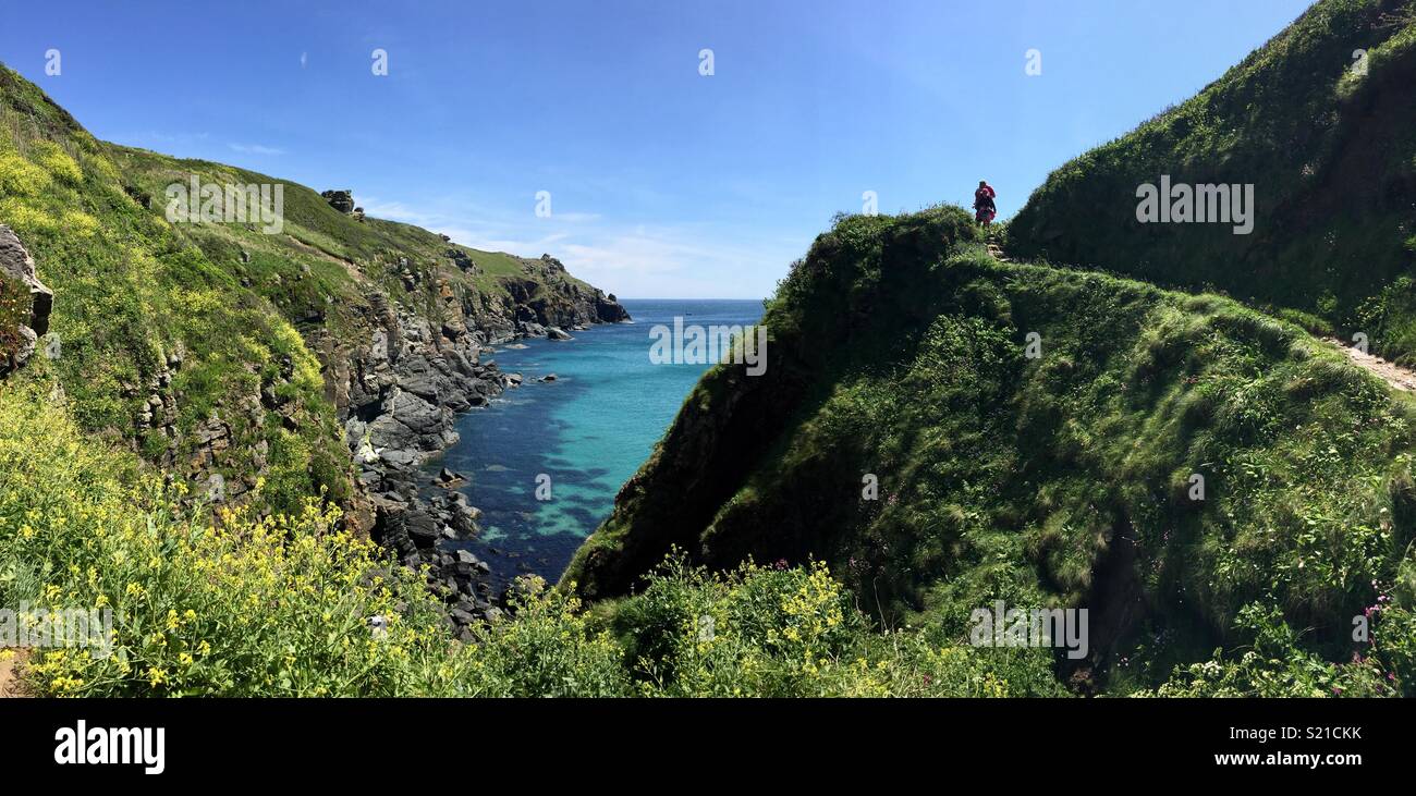Sentiero costiero, penisola di Lizard, Cornwall in estate. Foto Stock