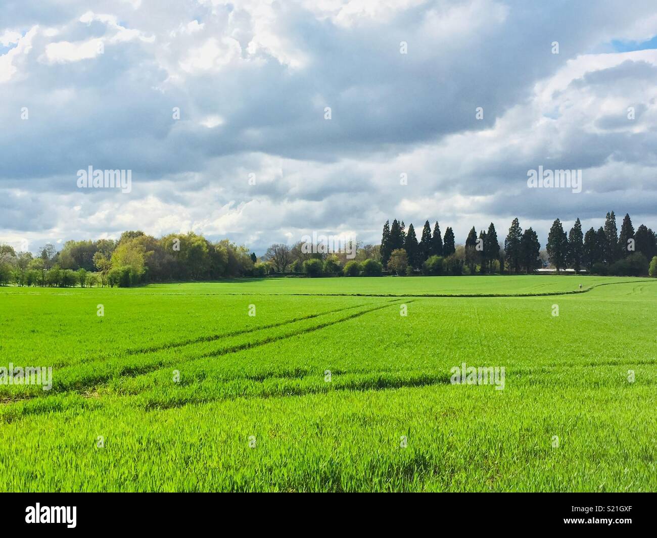 Bellissimo paesaggio Nottinghamshire Foto Stock