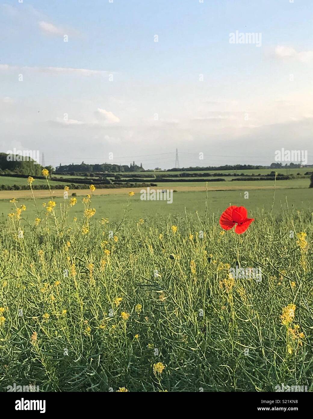 Facendo una passeggiata in campagna in Lincolnshire Foto Stock