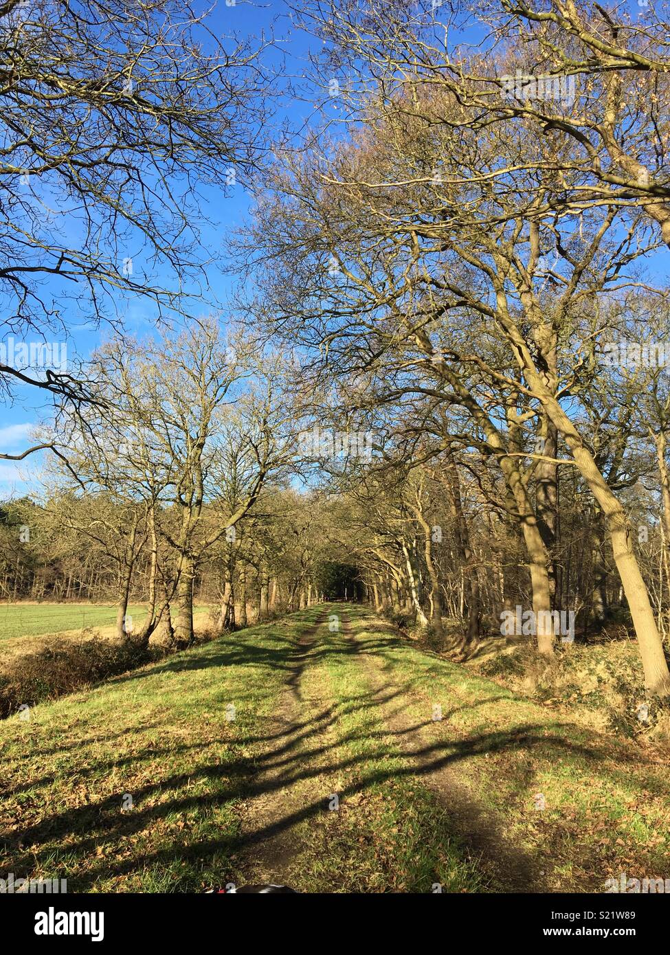 Lincolnshire campagna a piedi Foto Stock