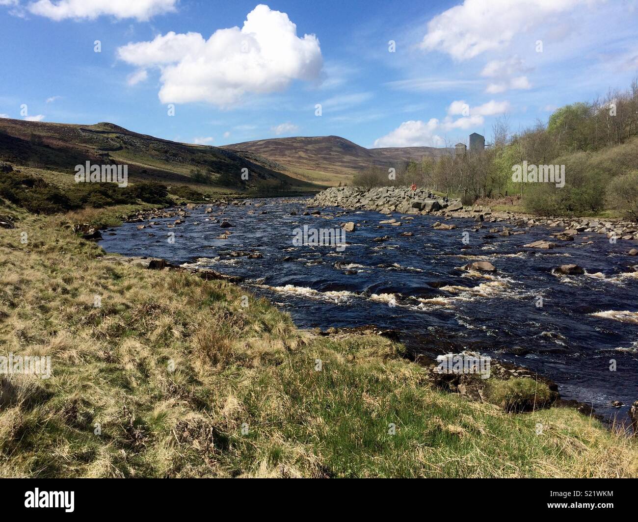 Il Fiume Tees, North Pennines Foto Stock