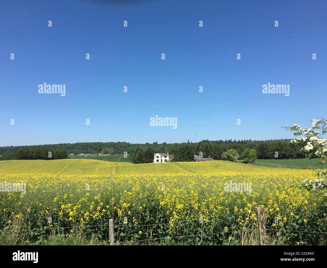 Bella vista su una bella giornata di sole nel paese Foto Stock