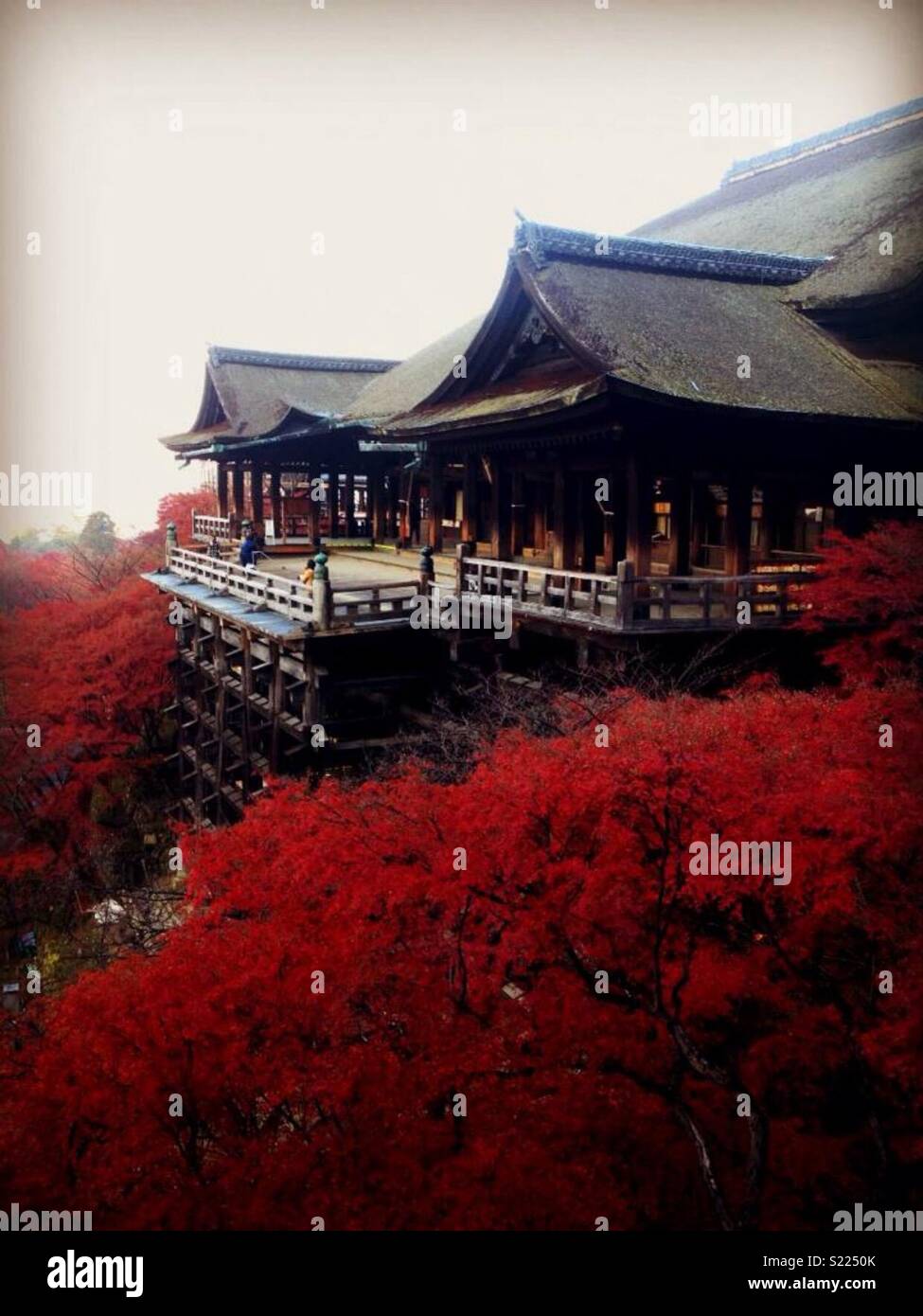 Tempio di Kiyomizu, Kyoto, Giappone Foto Stock