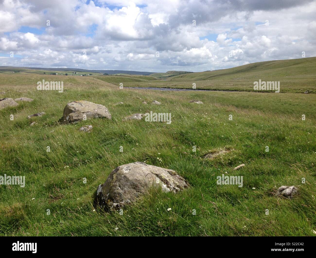 Fiume Tees, North Pennines Foto Stock
