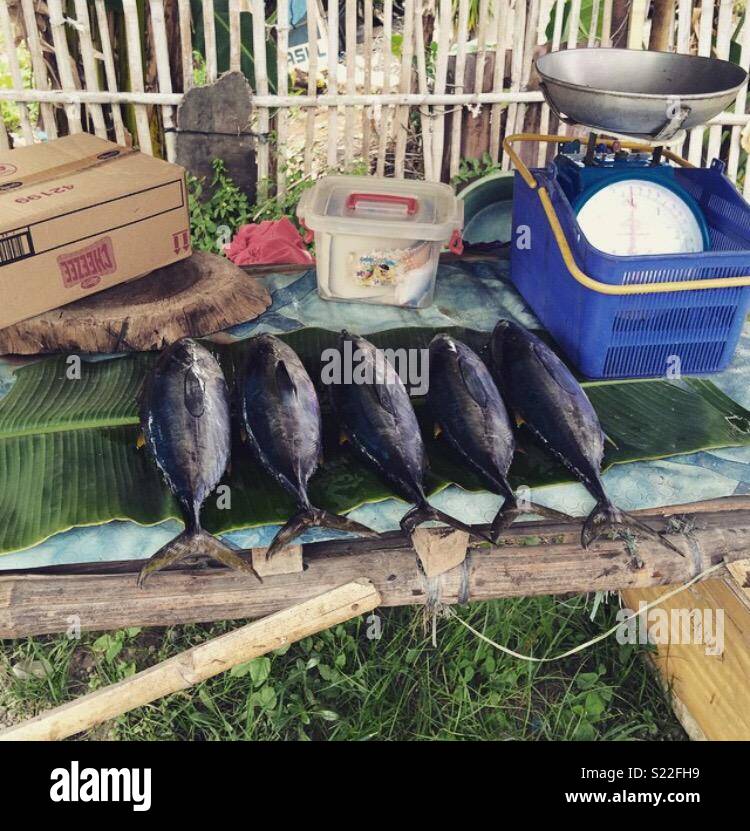 La pesca del giorno Filippine Foto Stock
