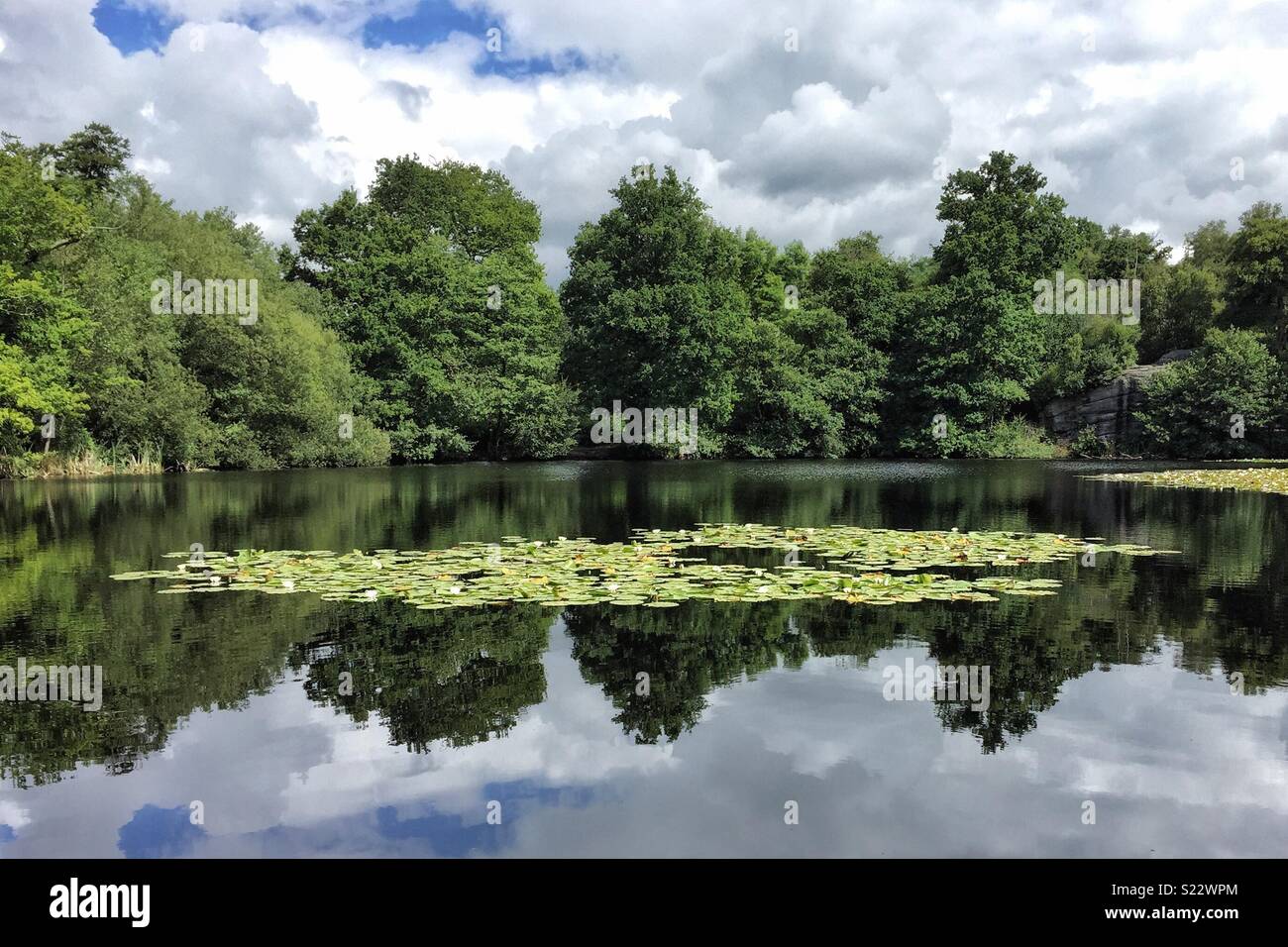 Il lago di legno vicino a Uckfield, East Sussex, Inghilterra Foto Stock