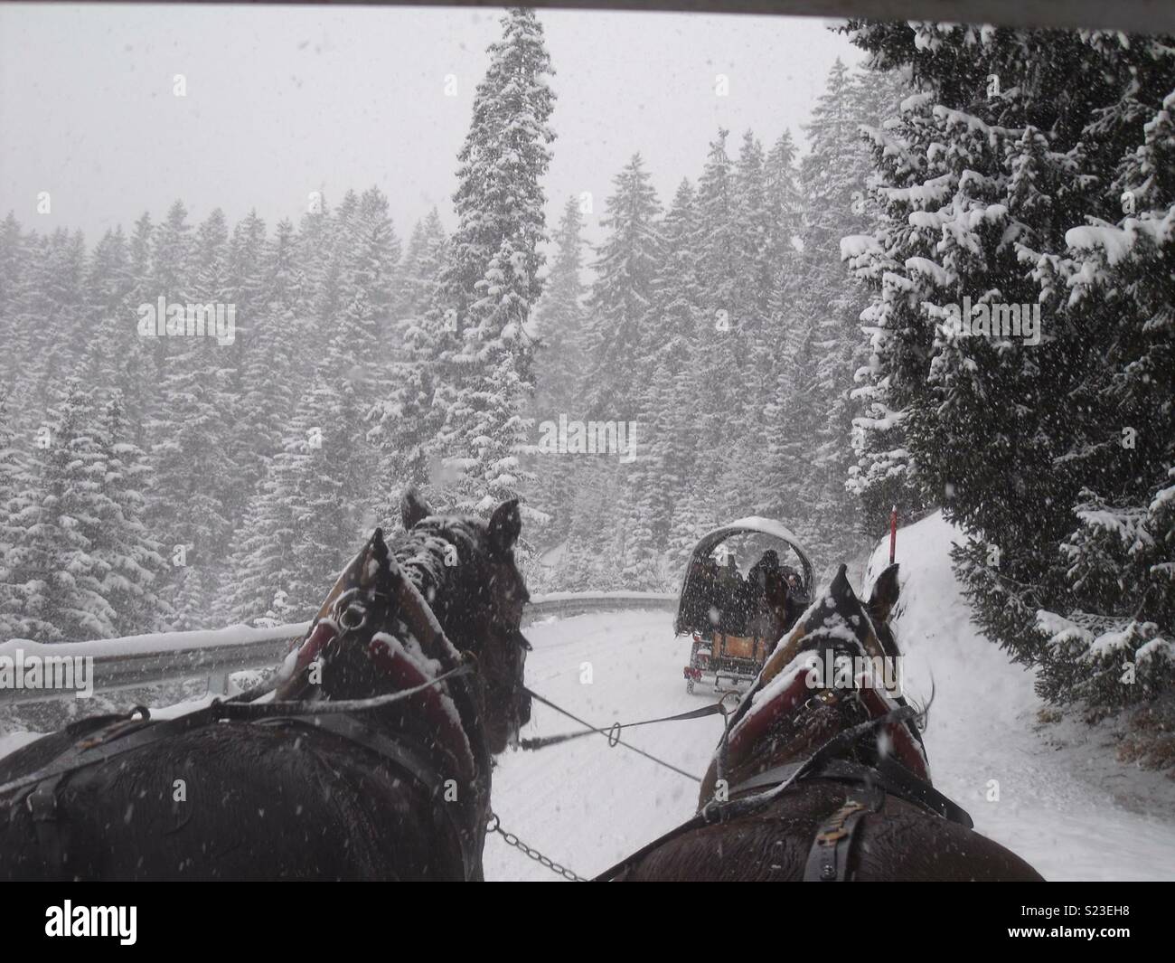 Cavallo e Carrozza a Lech, Austria. - Immagine stock catturata con smartphone