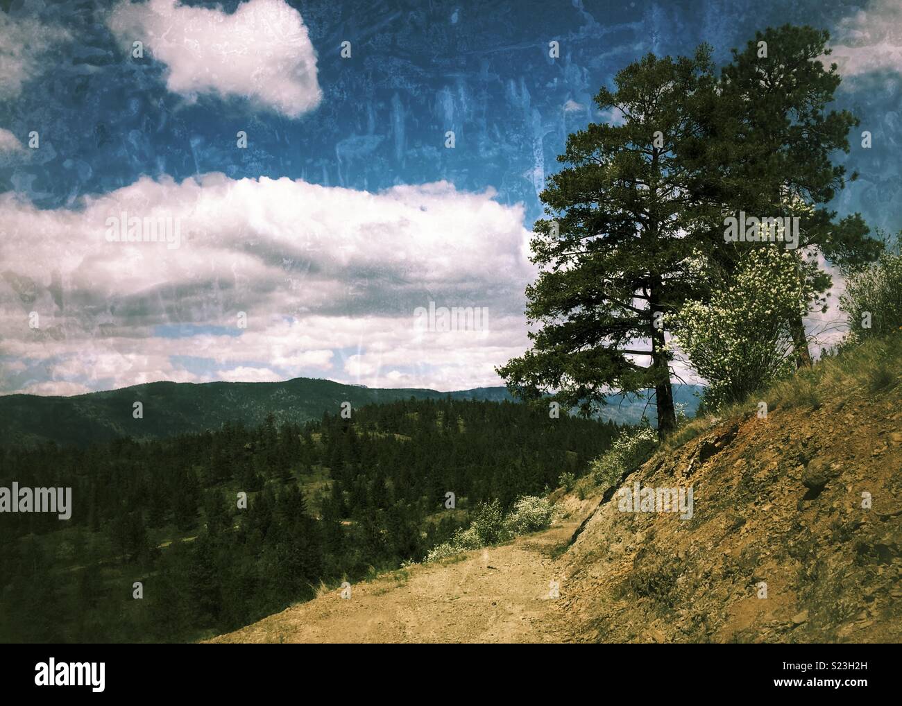 La molla del paesaggio con cielo blu e nuvole bianche. Albero coperto le montagne in distanza. - Immagine stock catturata con smartphone
