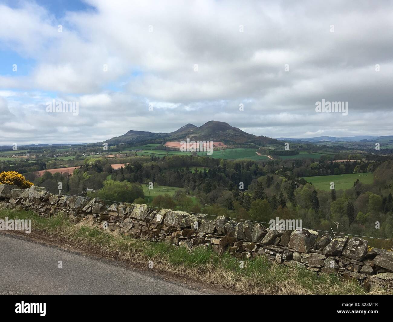 Scott's vista verso le colline Eildon, Scottish Borders Foto Stock