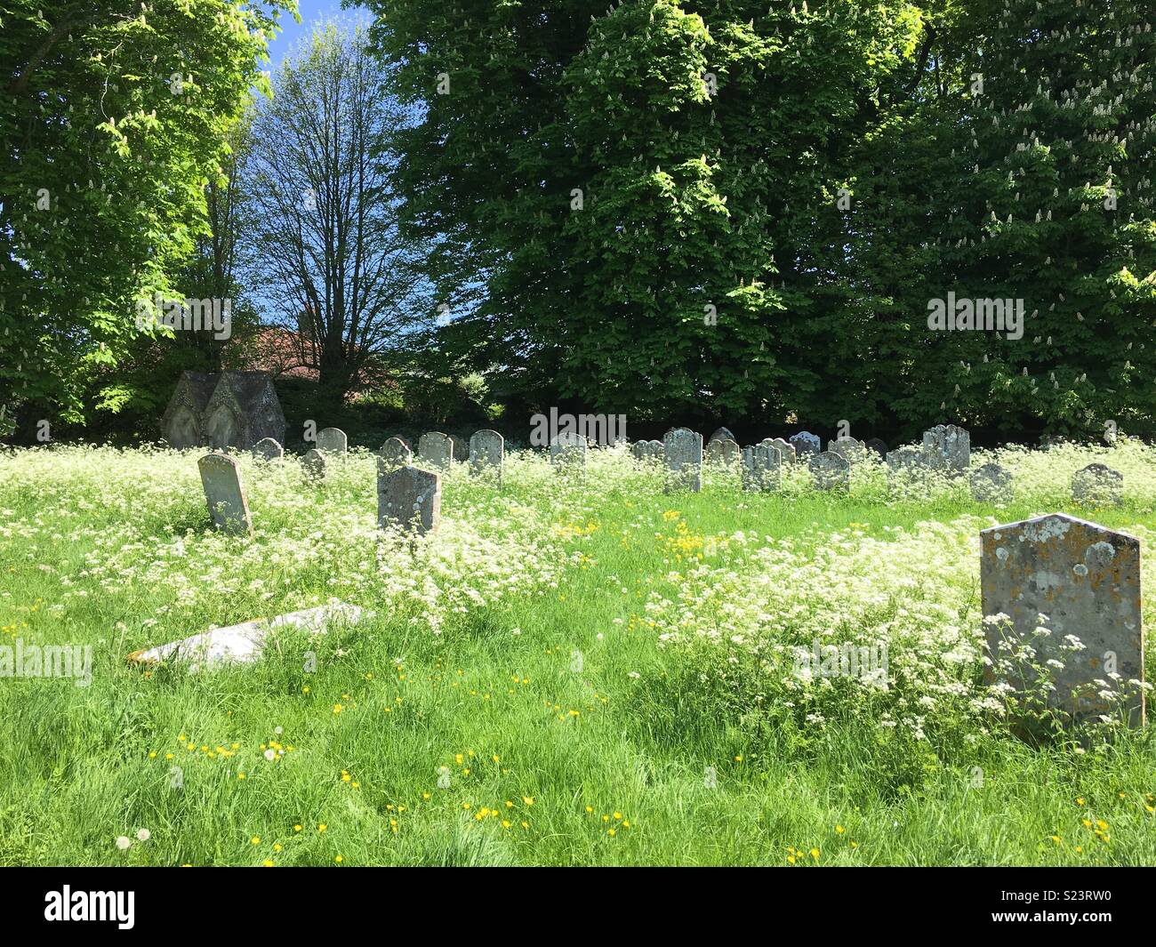 Chalton Chiesa cimitero, Hampshire, Inghilterra Foto Stock