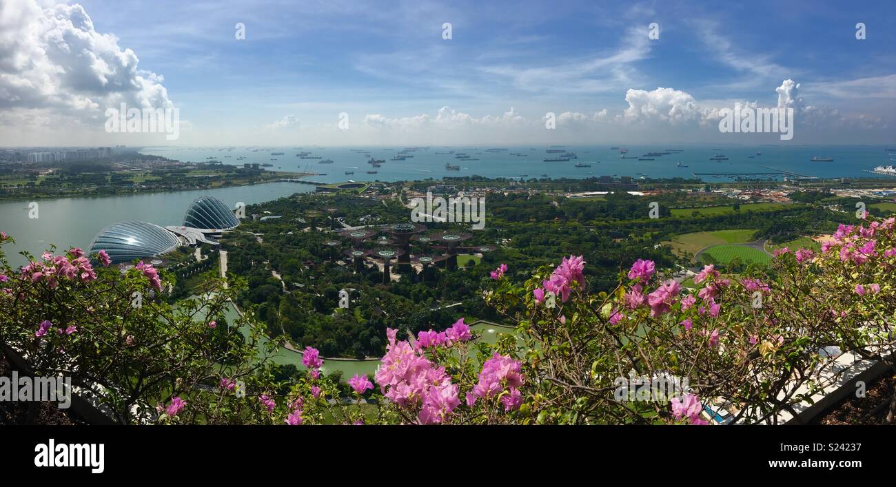 Singapore i giardini della baia e del porto dal balcone di Marina Bay Sands Hotel Foto Stock