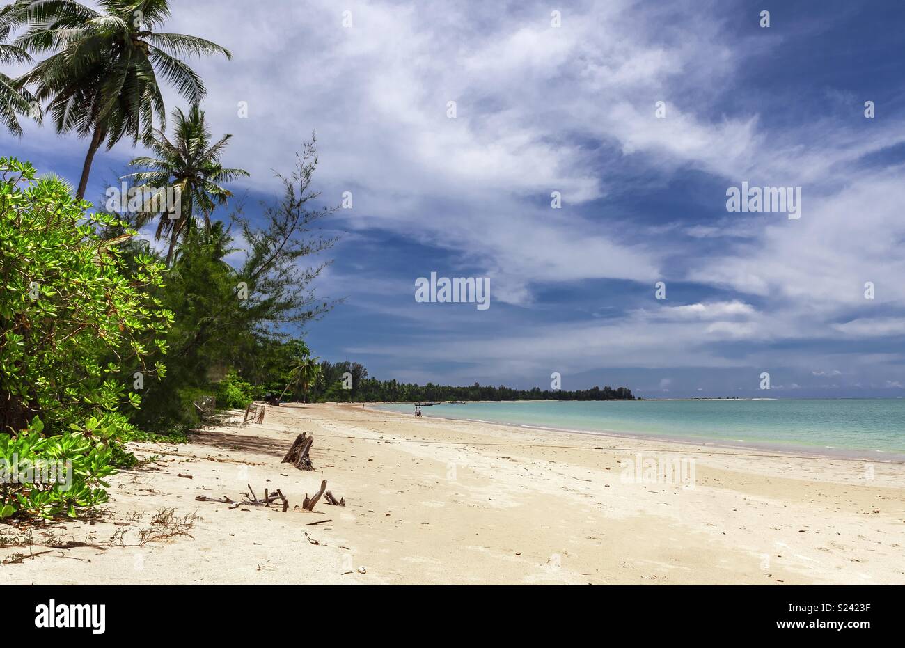 Il mare delle Andamane incontra la spiaggia orlata di palme di Cape Pakarang, Khao Lak nella provincia di Phang Nga, Thailandia. Foto Stock