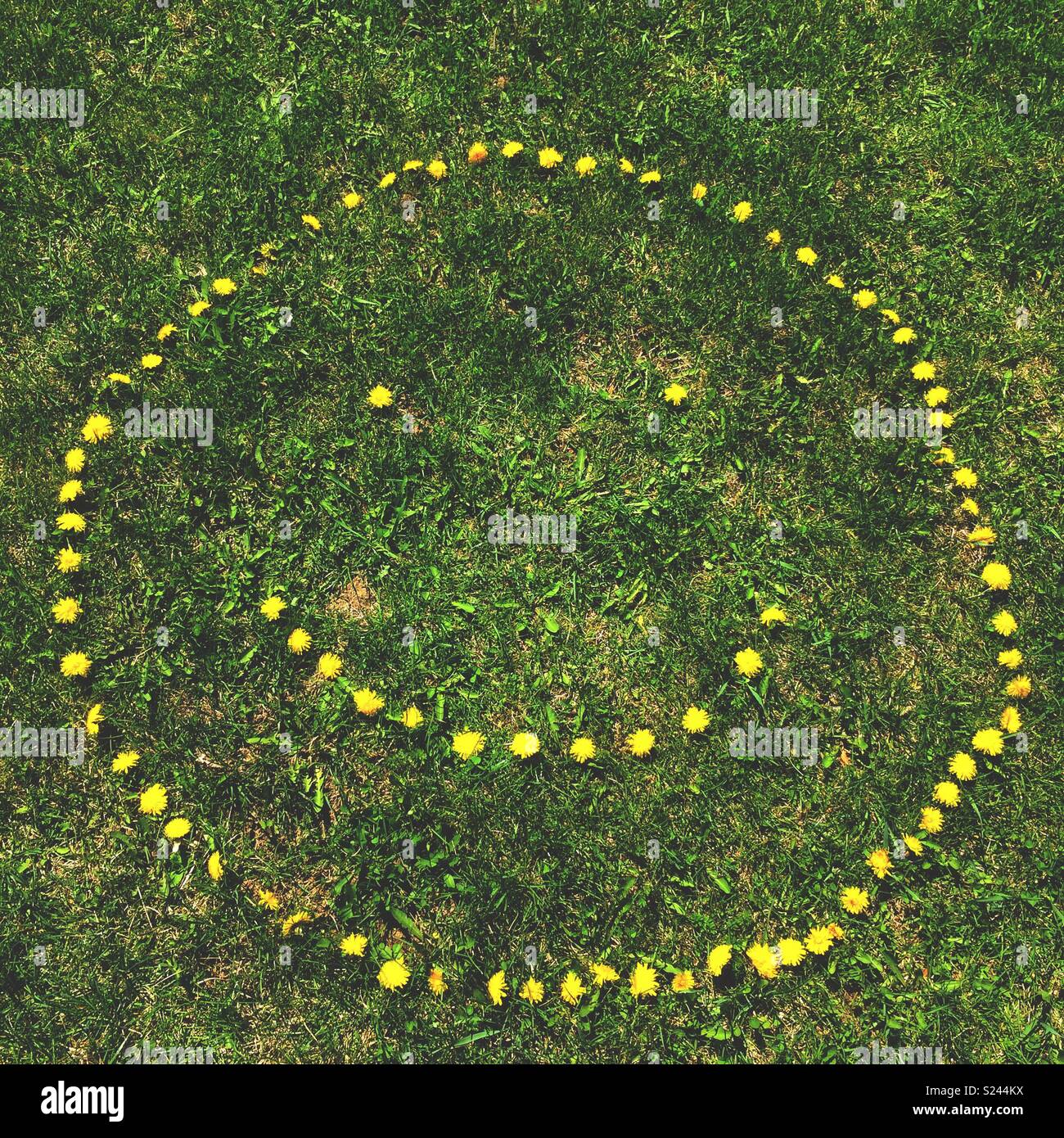 Sorridenti faccia realizzato da denti di leoni in erba verde Foto Stock
