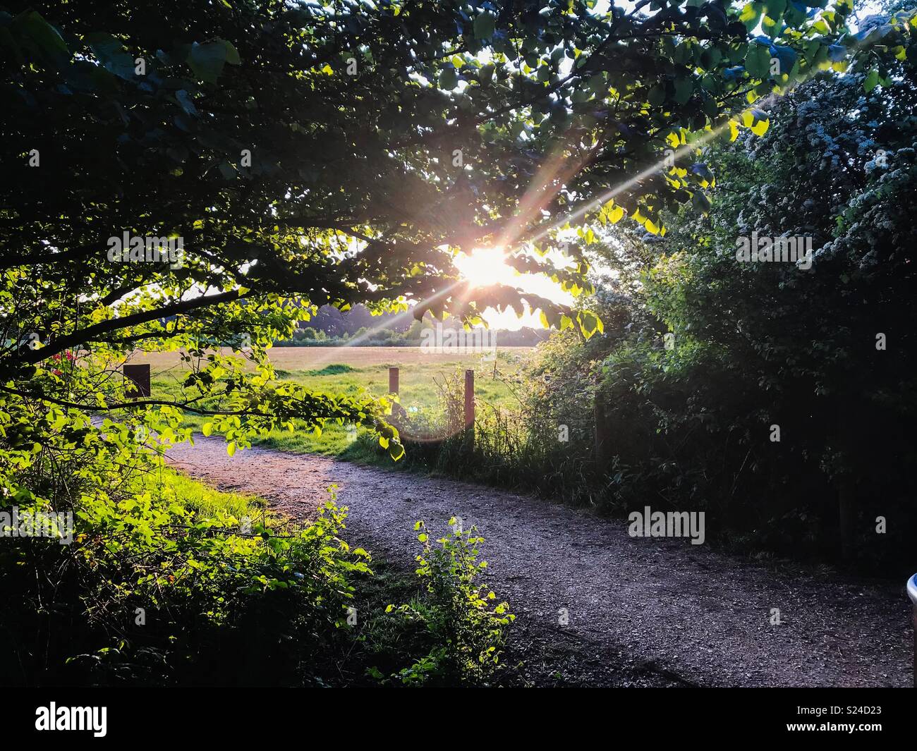 Country Park a piedi al tramonto Foto Stock