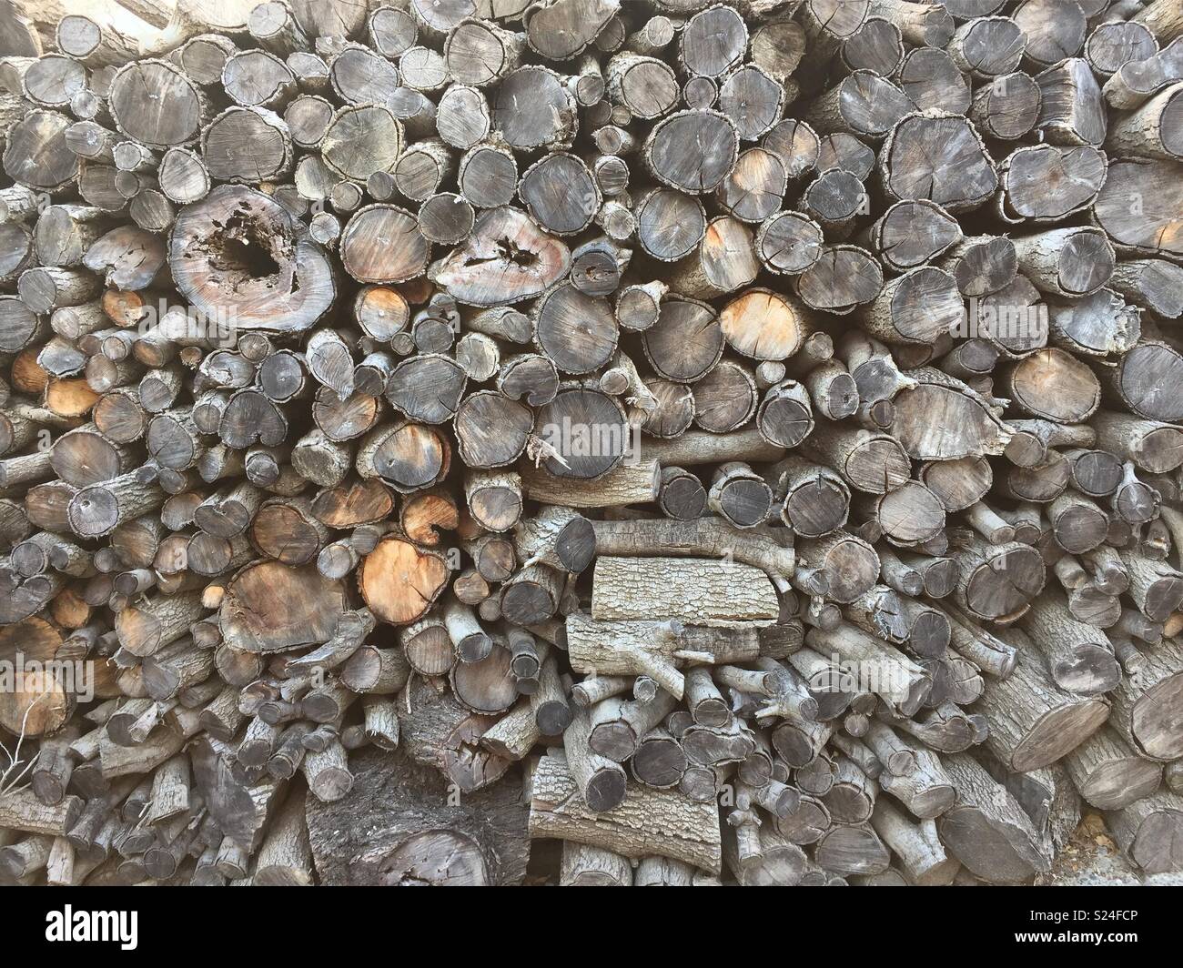 Palo di legno essiccazione al sole - Immagine stock catturata con smartphone