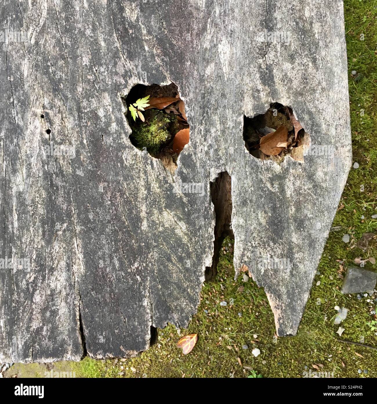 Panca astratto - Immagine stock catturata con smartphone