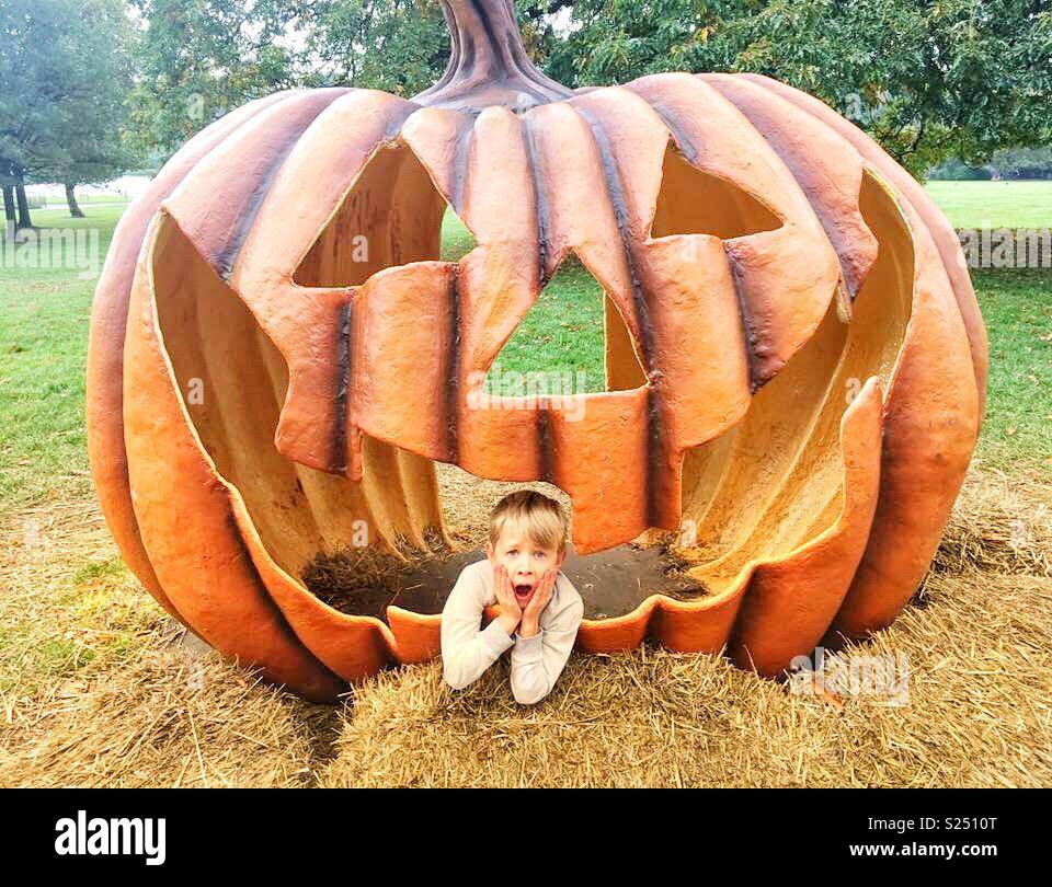 Ragazzo in grande zucca Foto Stock