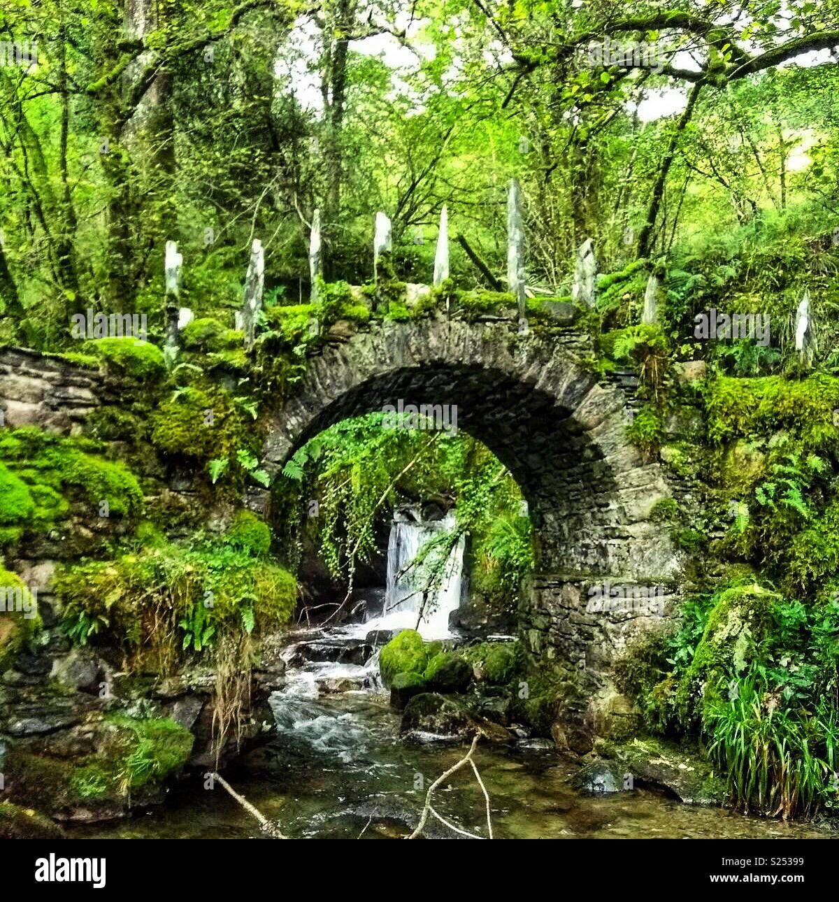 Fata Verde bridge & cascata Foto Stock