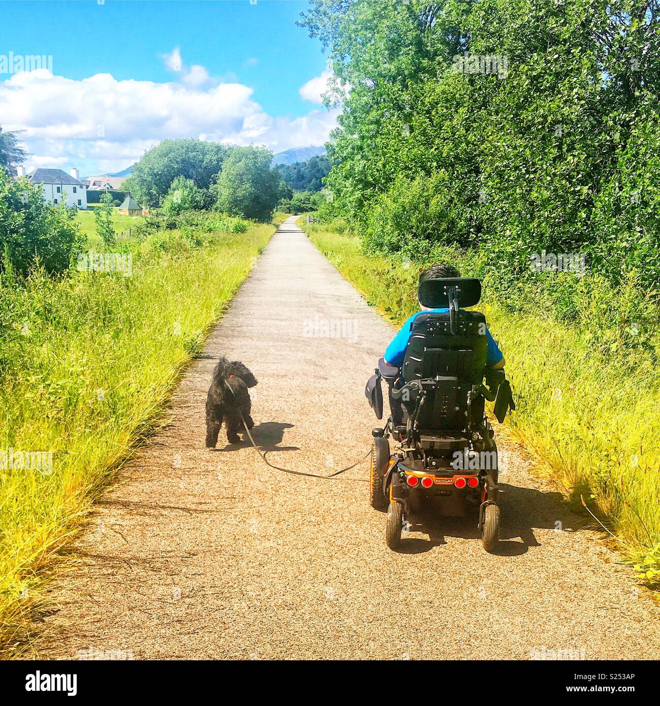 Sedia a rotelle dog walk Foto Stock