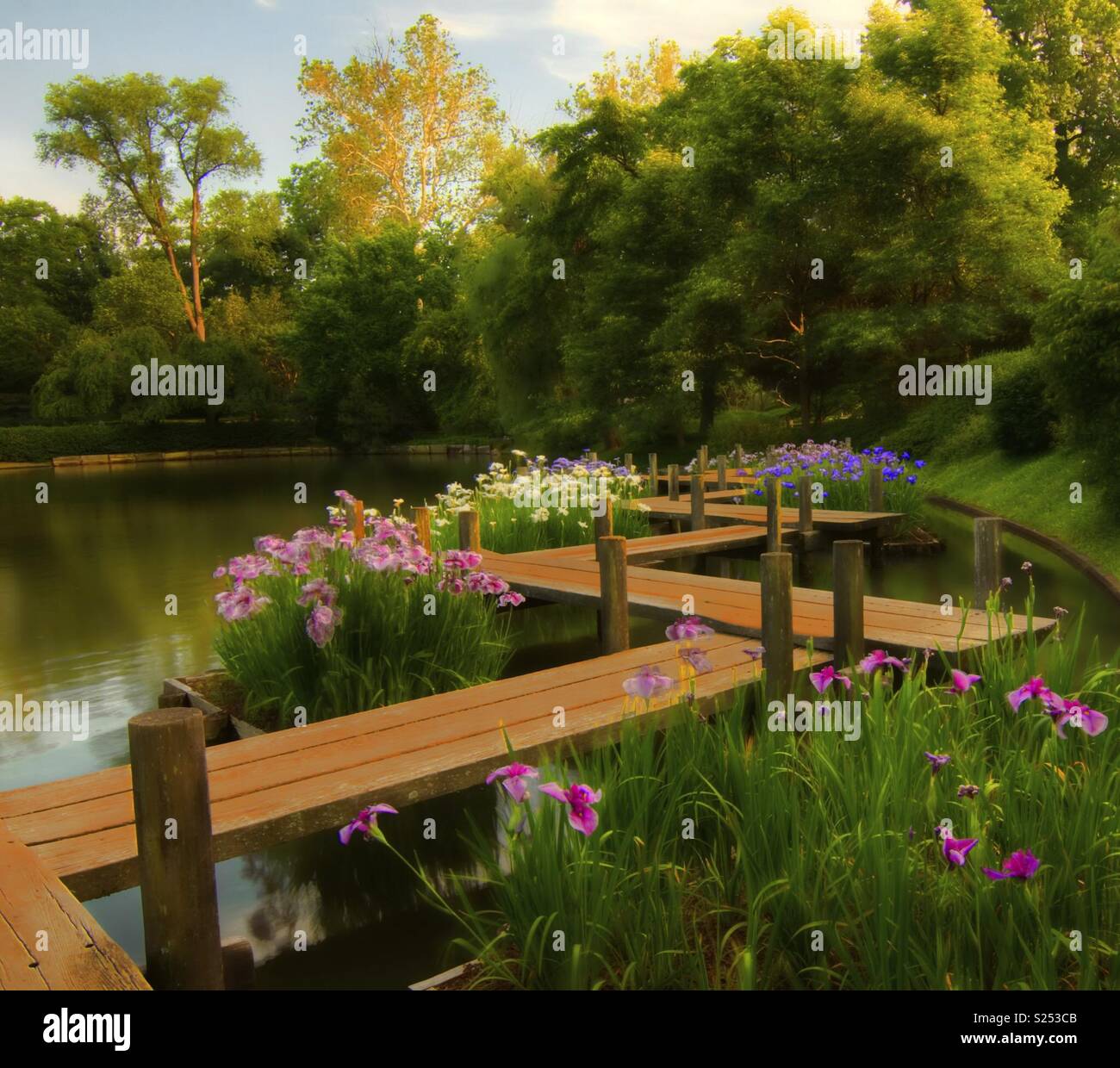 Fiorisce e Boardwalk - Immagine stock catturata con smartphone