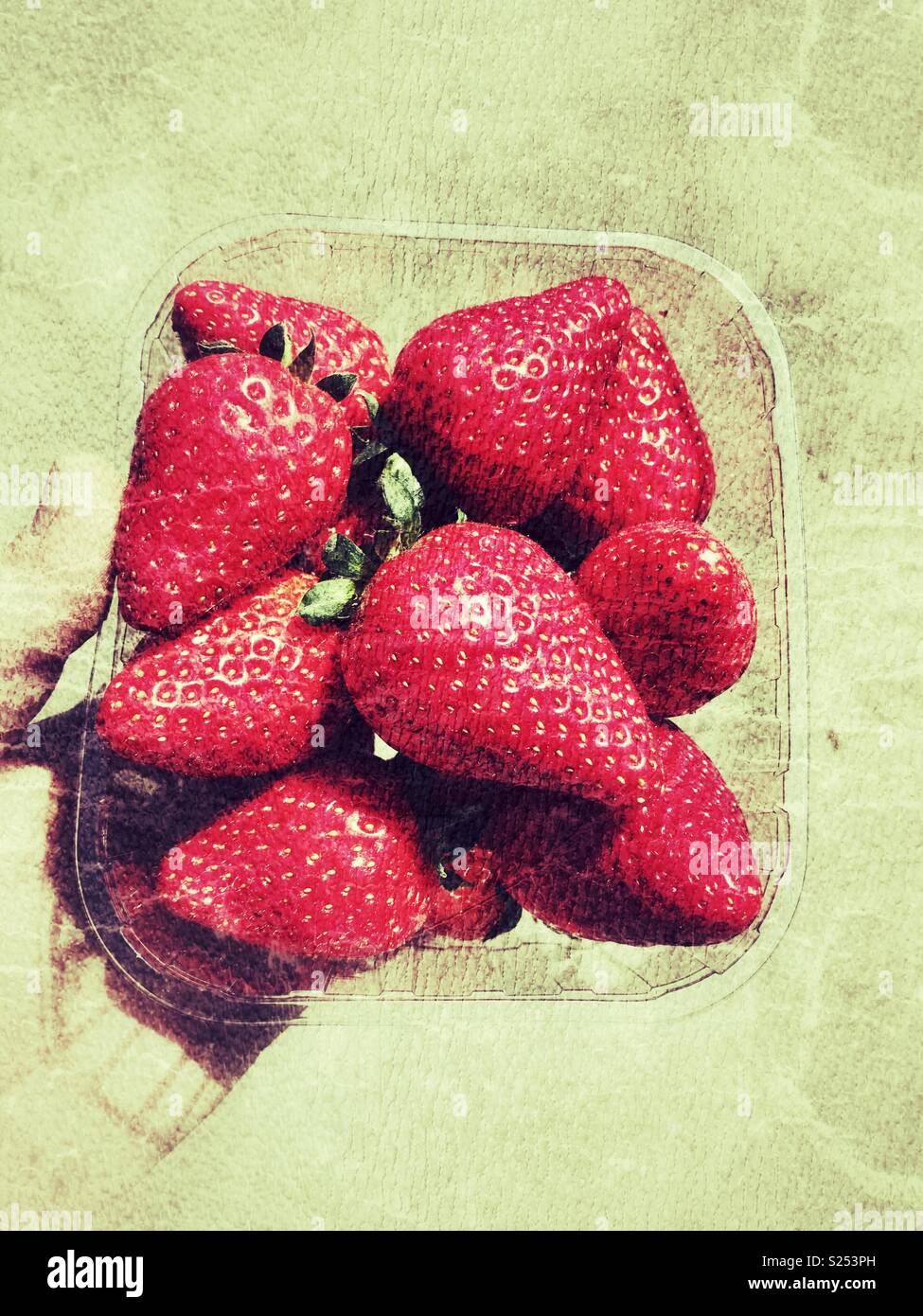 Tenendo una cestella di fragole fresche Foto Stock