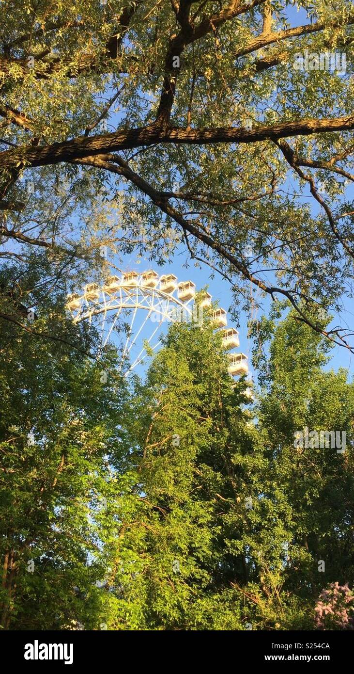 Il parco della città al tempo primaverile con vista sulla ruota attraverso i rami di alberi. - Immagine stock catturata con smartphone
