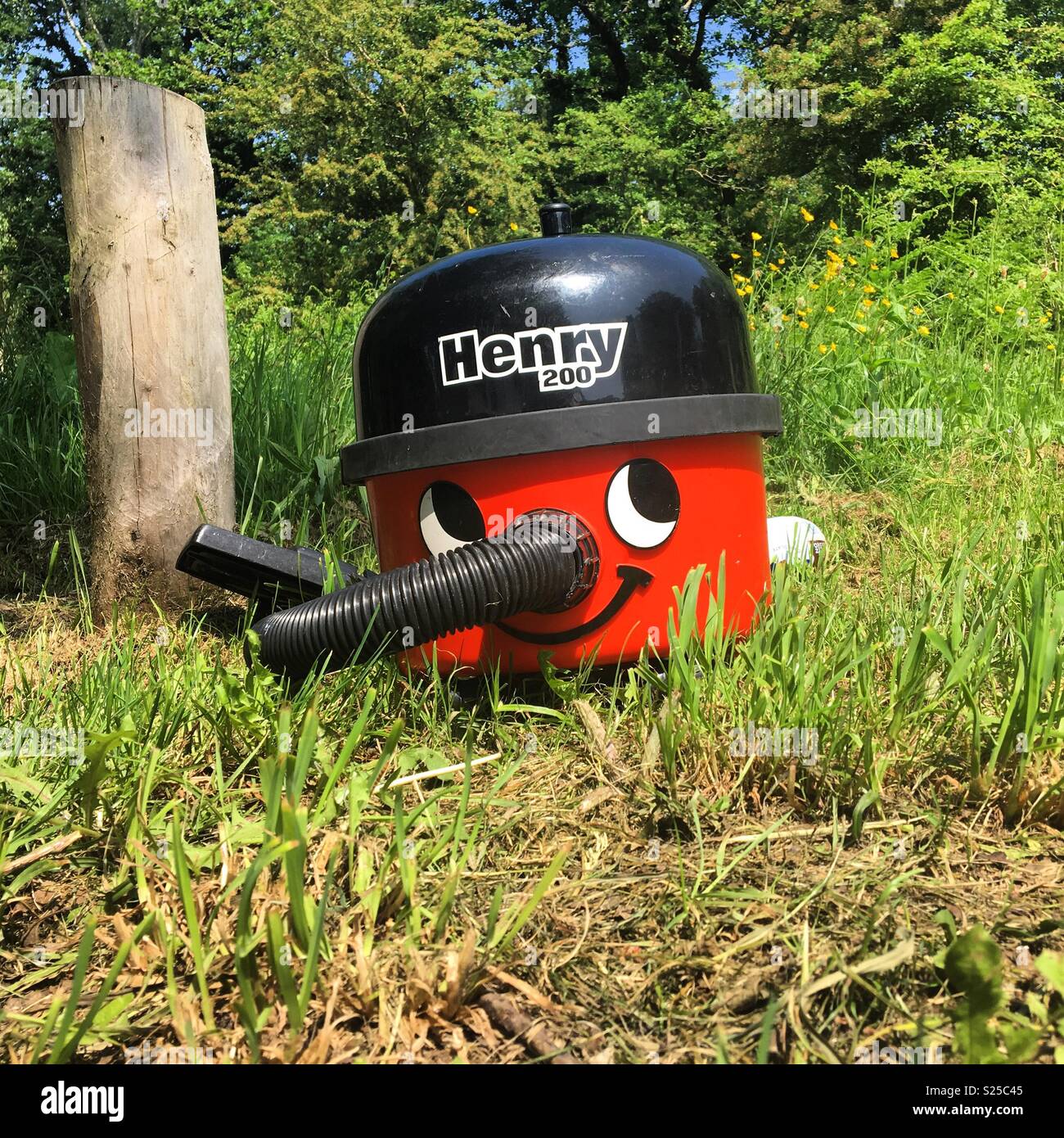 Un vecchio Henry hoover è oggetto di pratiche di dumping a Bookham comune nel Surrey, maggio 2018. Foto Stock