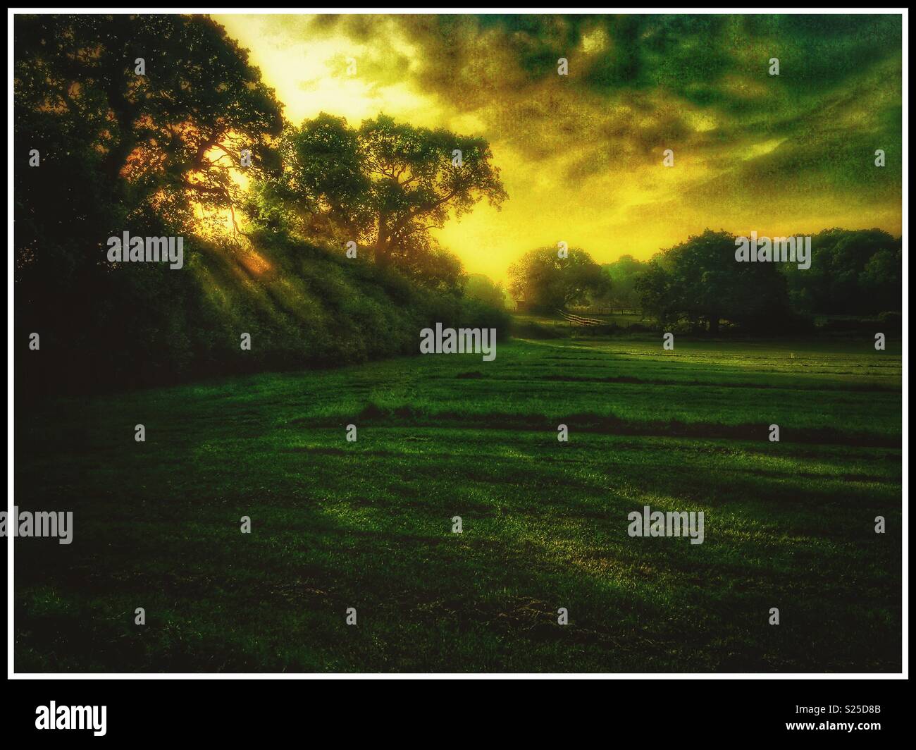 Kent sunrise. Foto Stock