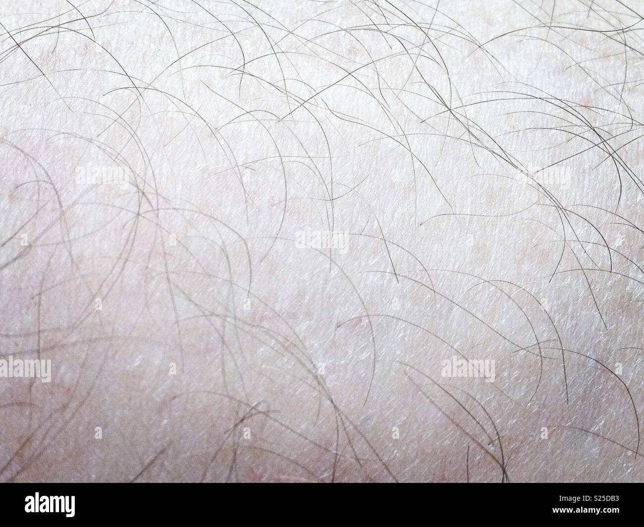 Primo piano della mia gamba pelosa. Foto di un telefono cellulare con un'elaborazione simile a quella di un telefono cellulare/tablet. Foto Stock