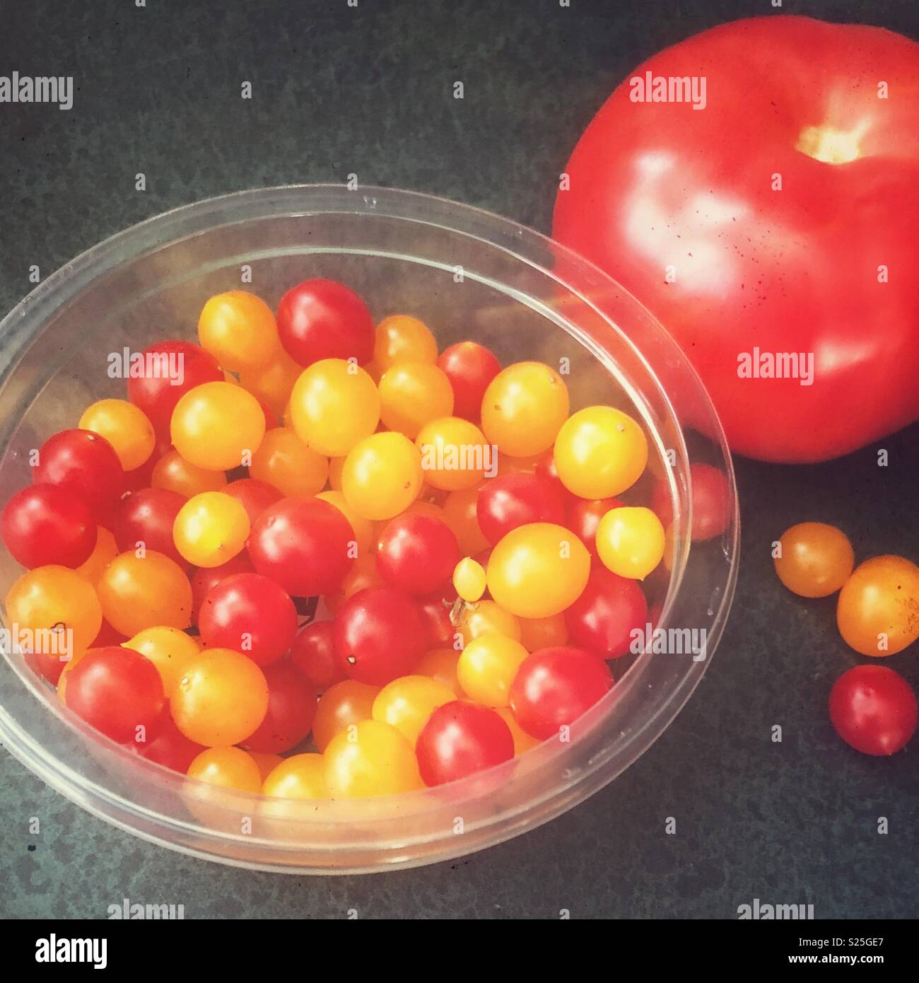 Pomodori Tomberry in una chiara coppa in plastica accanto a dimensioni regolari il pomodoro per illustrare le loro piccole dimensioni - Immagine stock catturata con smartphone