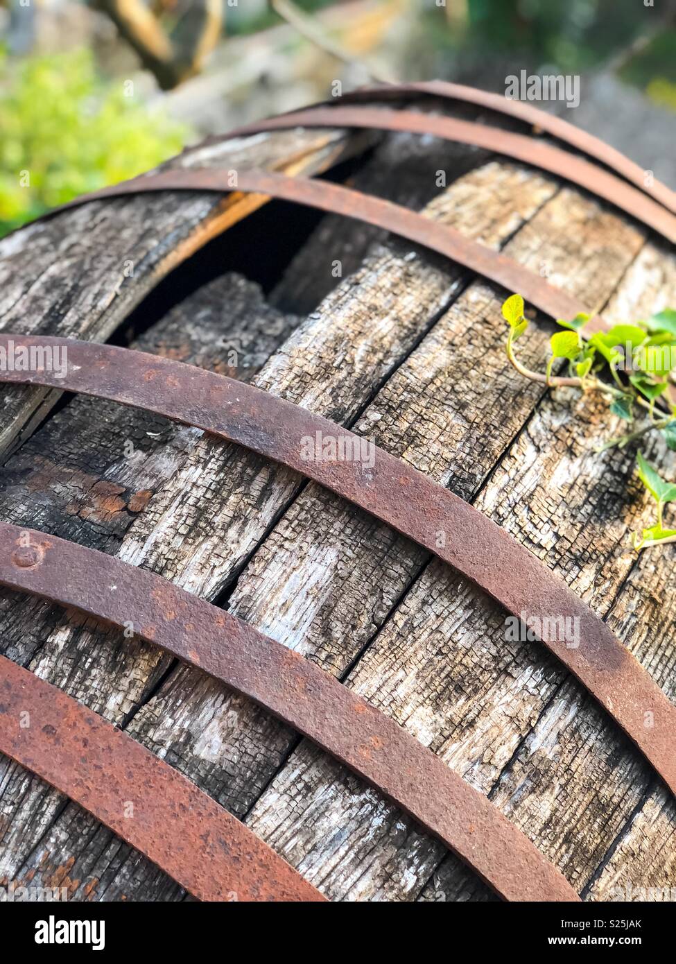 Vecchio arrugginito botte di vino per esterno Foto Stock