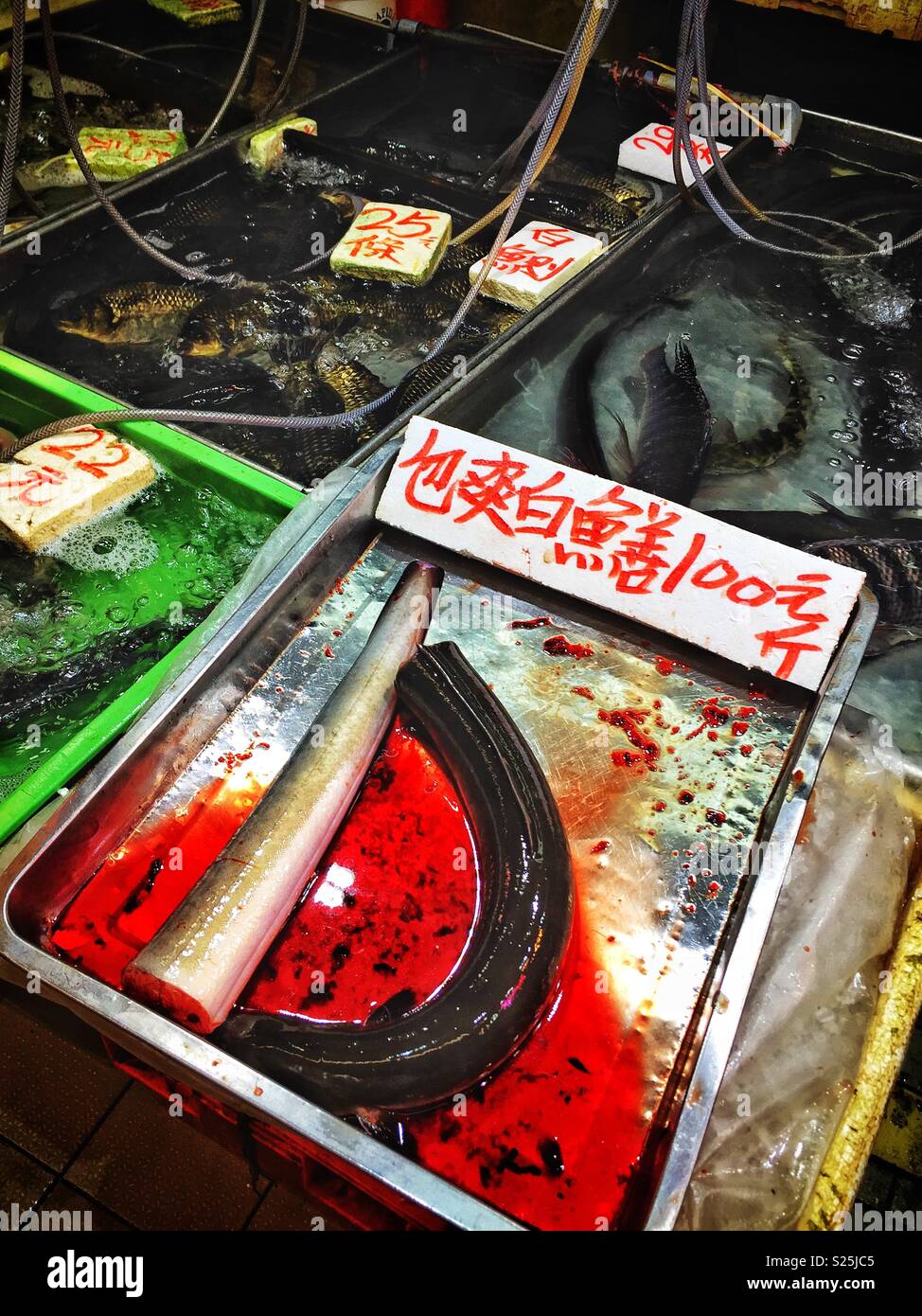 Anguilla dal vivo per la vendita in un "mercato umido', Yuen Long, Nuovi Territori di Hong Kong - Immagine stock catturata con smartphone