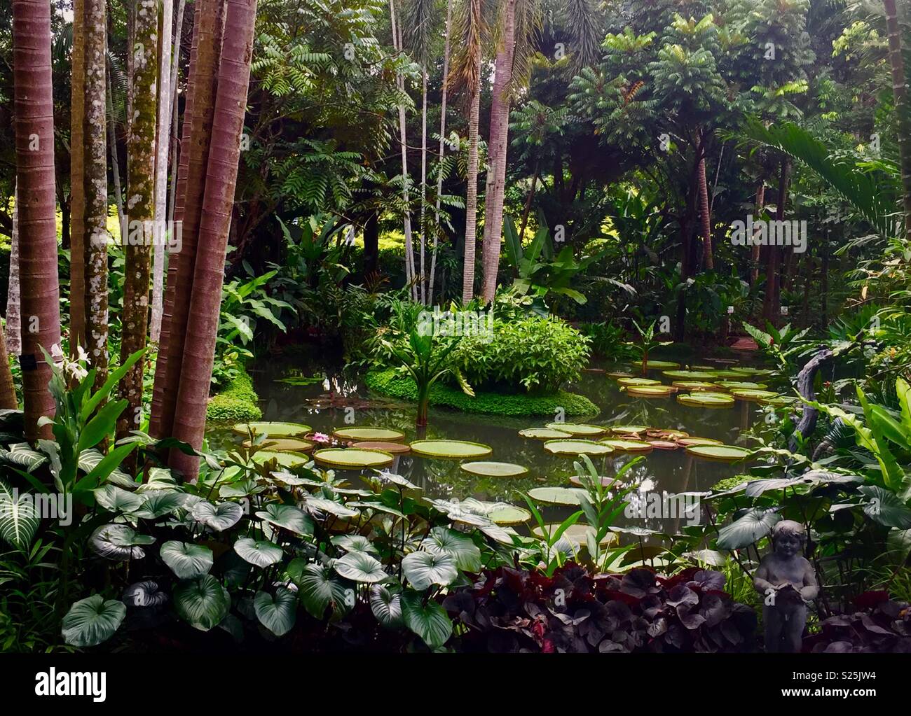 Giardino paesaggistico tropicale- Singapore Botanic Gardens Foto Stock