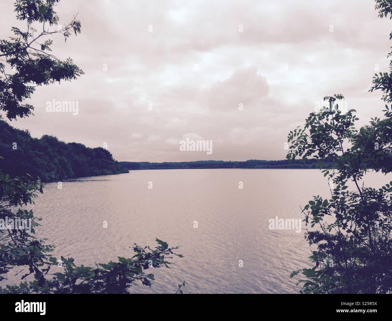 Serbatoio - Immagine stock catturata con smartphone