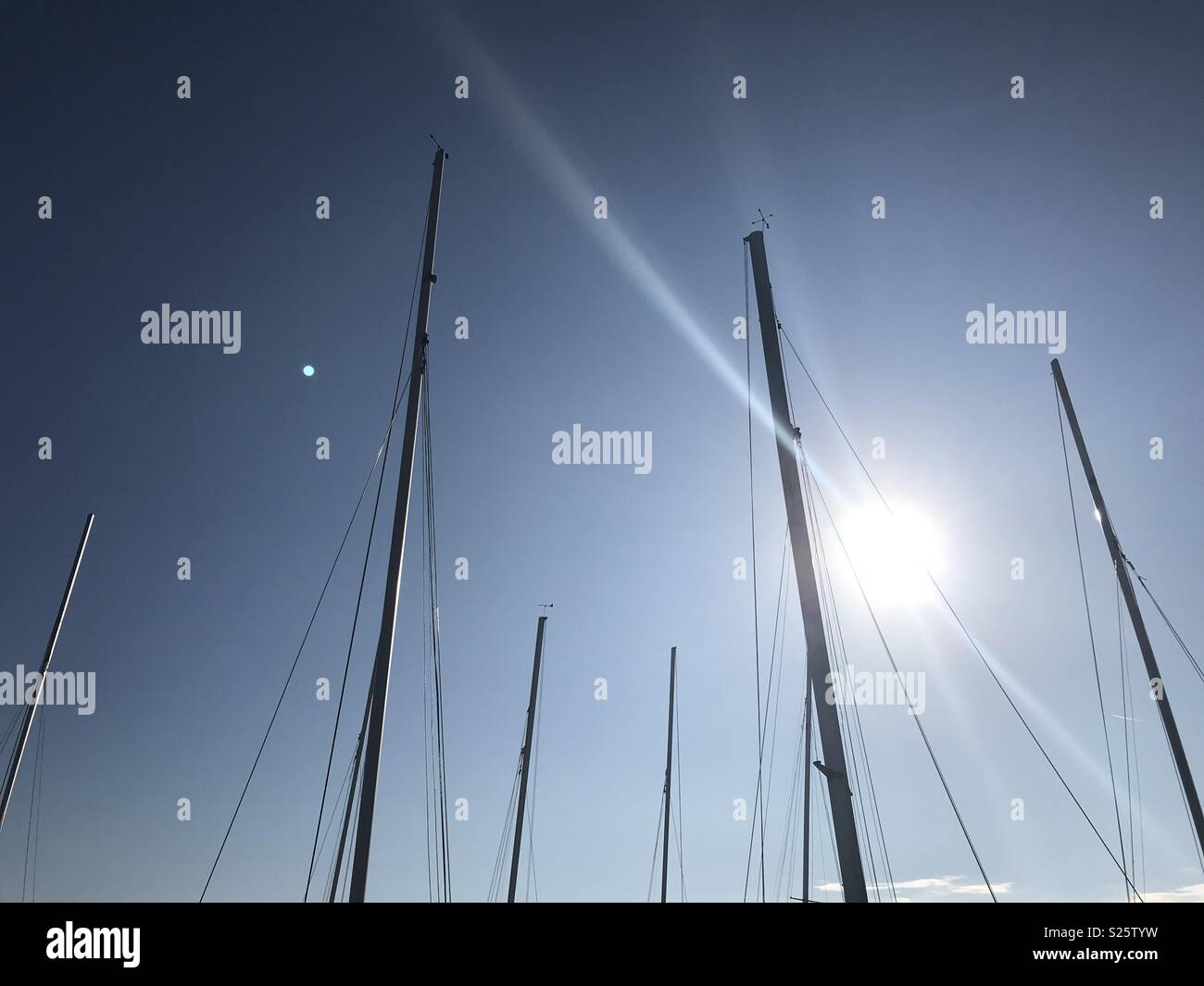 Yacht di alberi con Sun Foto Stock