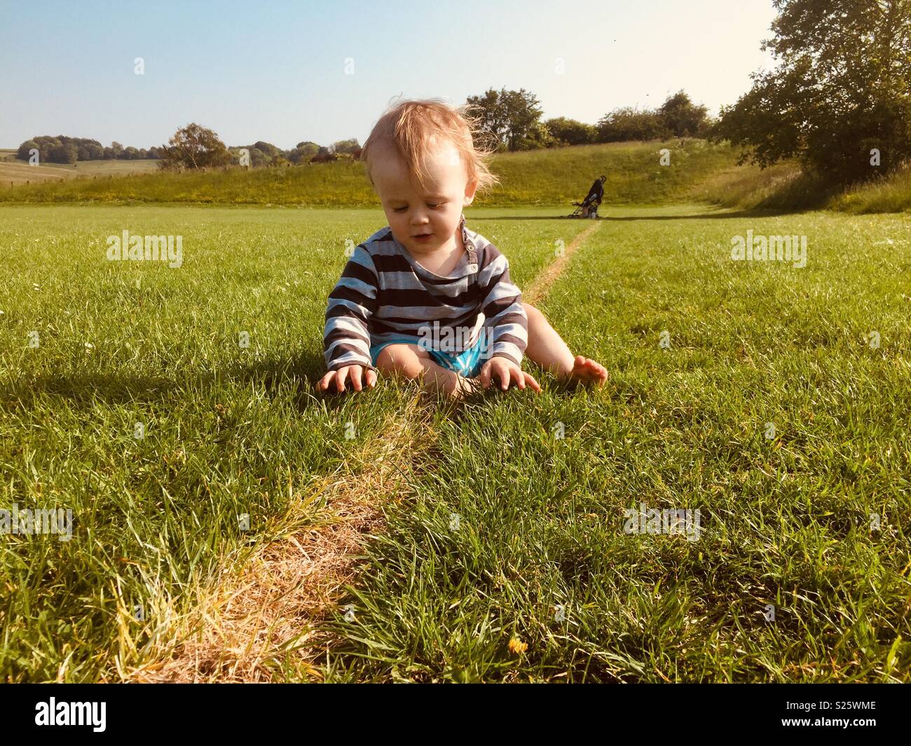 Il Toddler ad esplorare il mondo esterno, giocando sull'erba su un pomeriggio di estate Foto Stock