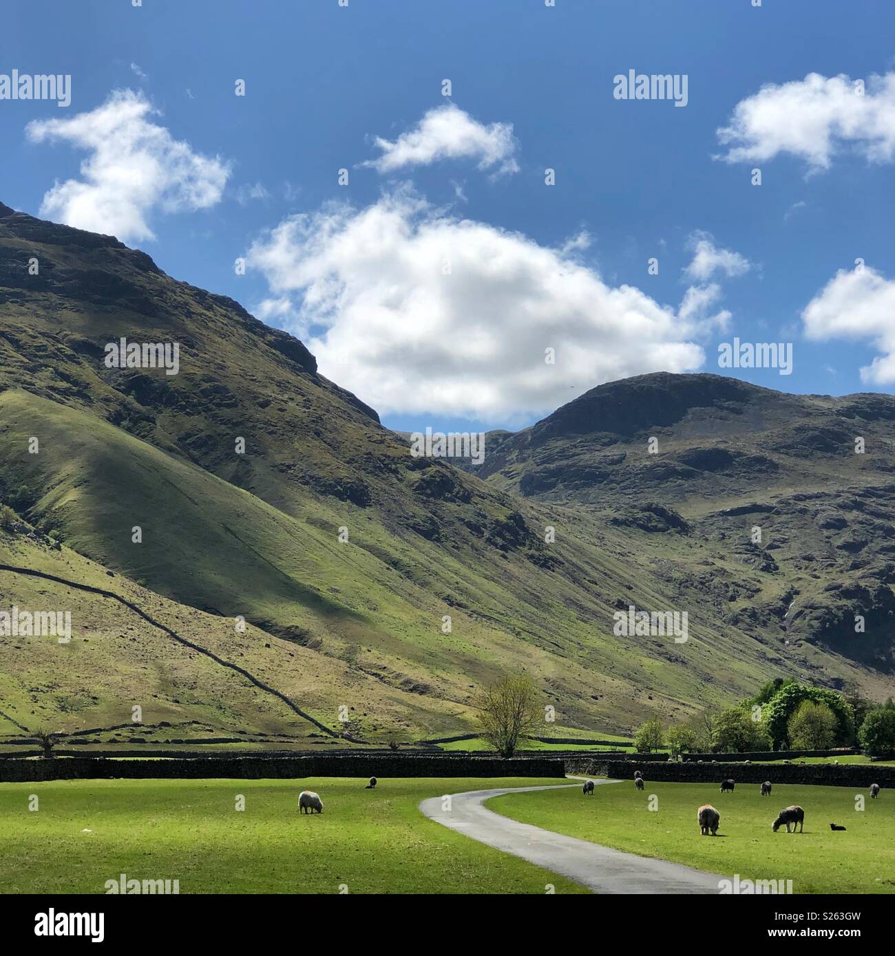 Langdale valley nel distretto del Lago Foto Stock